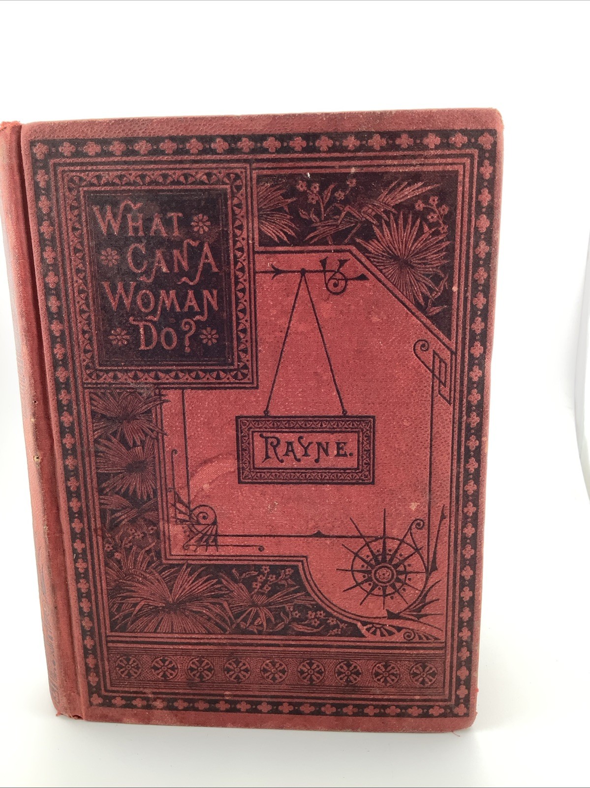WHAT CAN A WOMAN DO ANTIQUE BOOK BY: RAYNE 1893 (Eagle Publishing) Illistrated