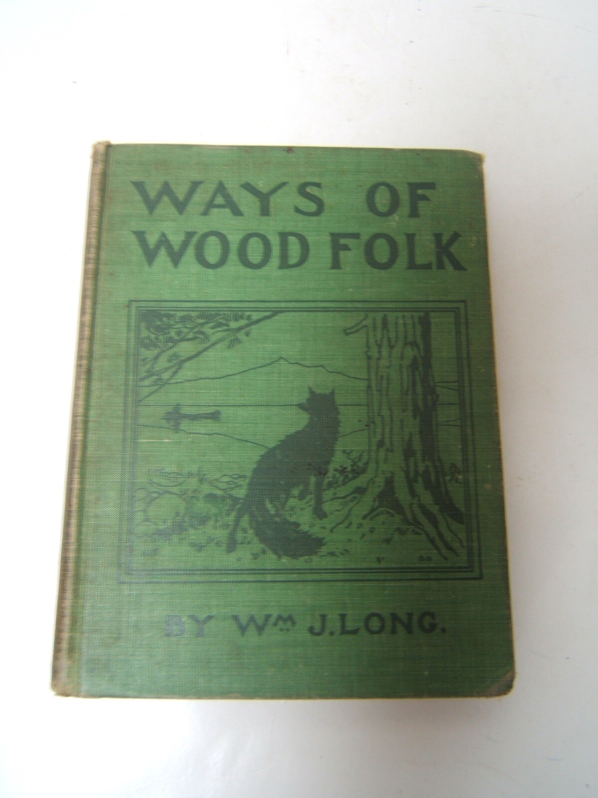 Ways of Wood Folk William J Long 1899 Ginn & Co. Rare First Edition