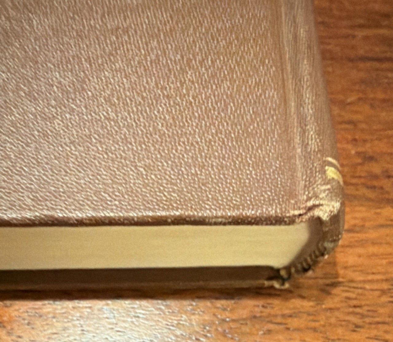 John Wiley & Sons Range Sheep and Wool Hultz Hill Hardcover Agriculture 1931