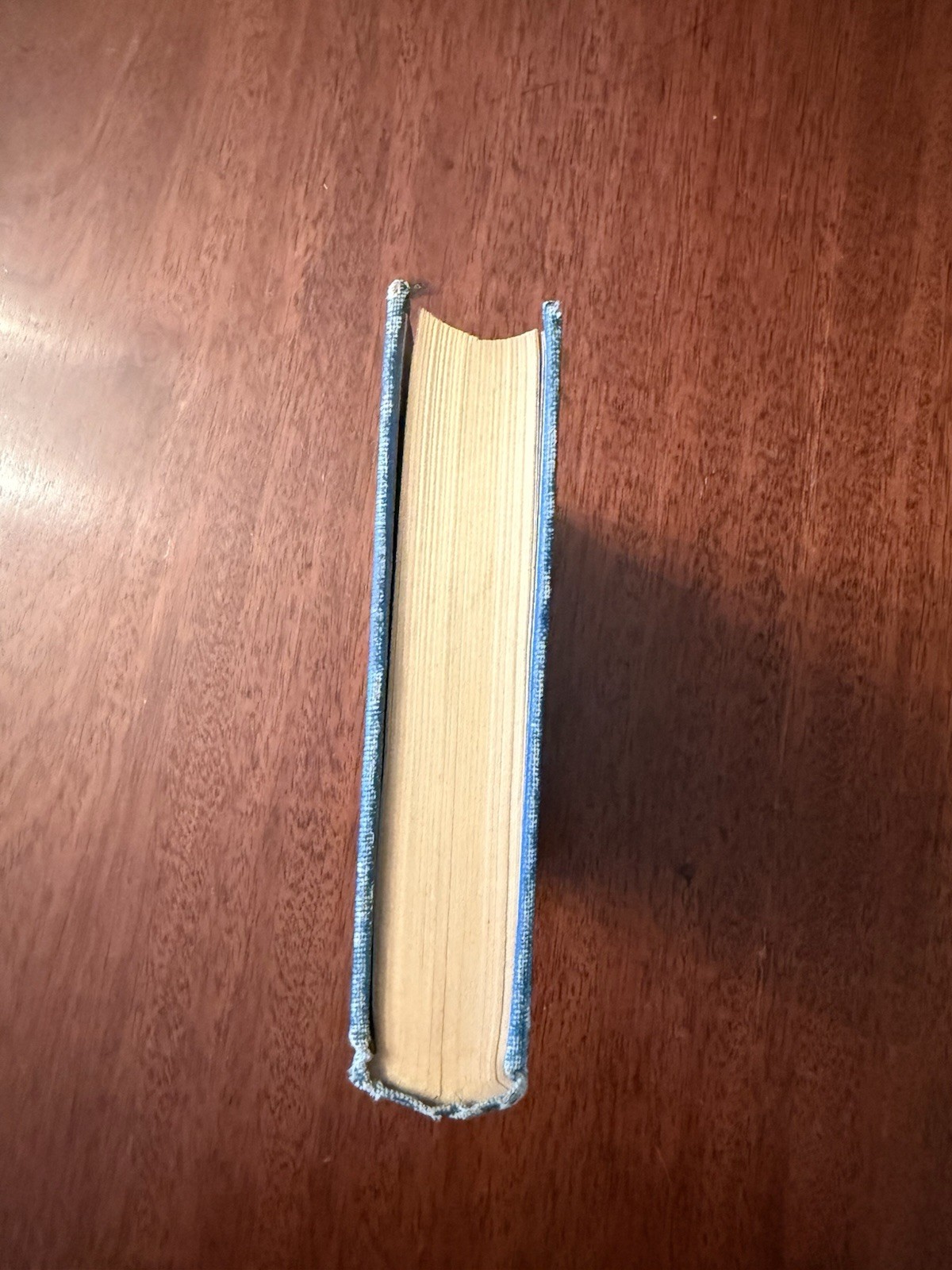 The House of the Seven Gables 1894 by N Hawthorne Pub H Altemus HC – NICE