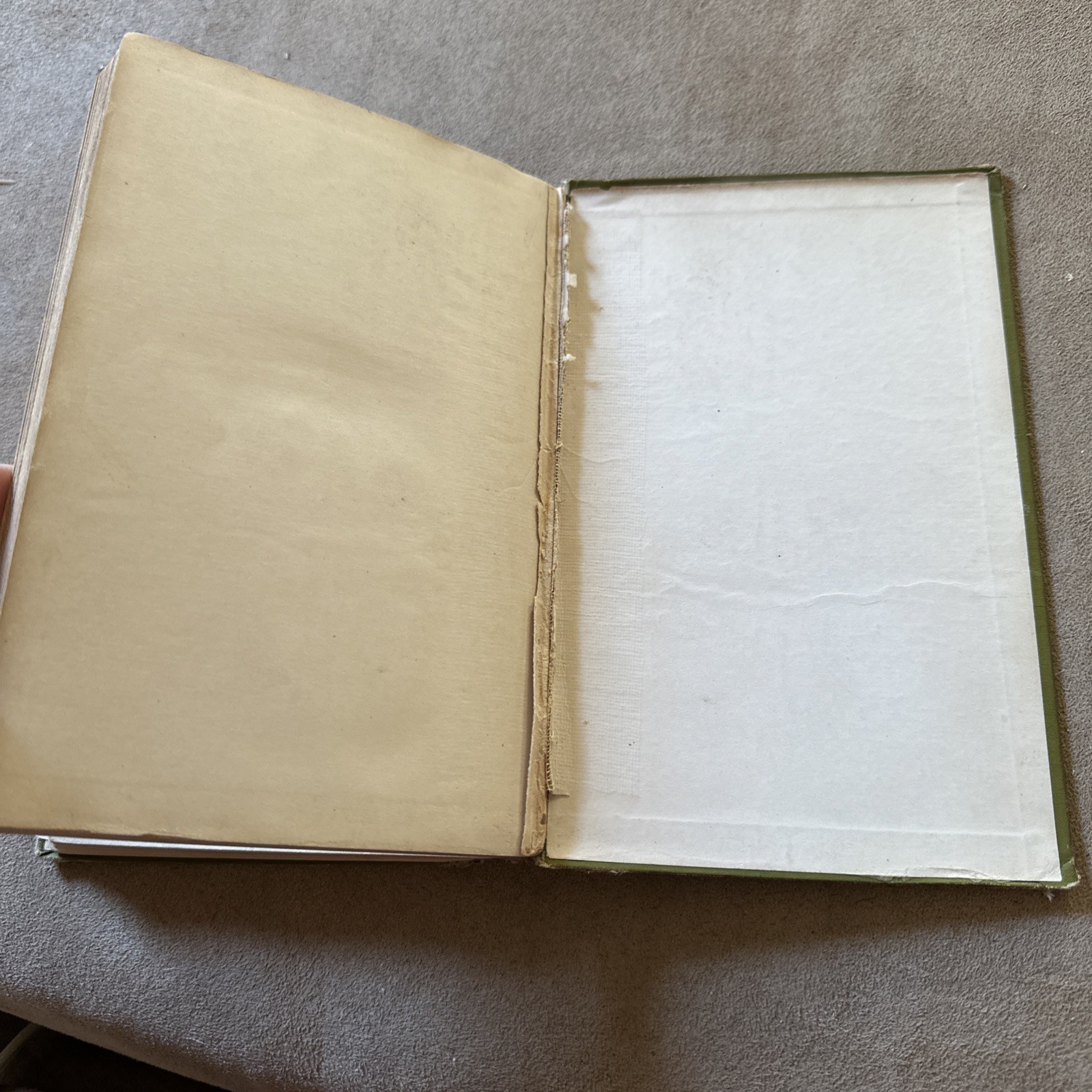The Jungle Upton Sinclair Book 1906 1st ed 1st Printing February Antique