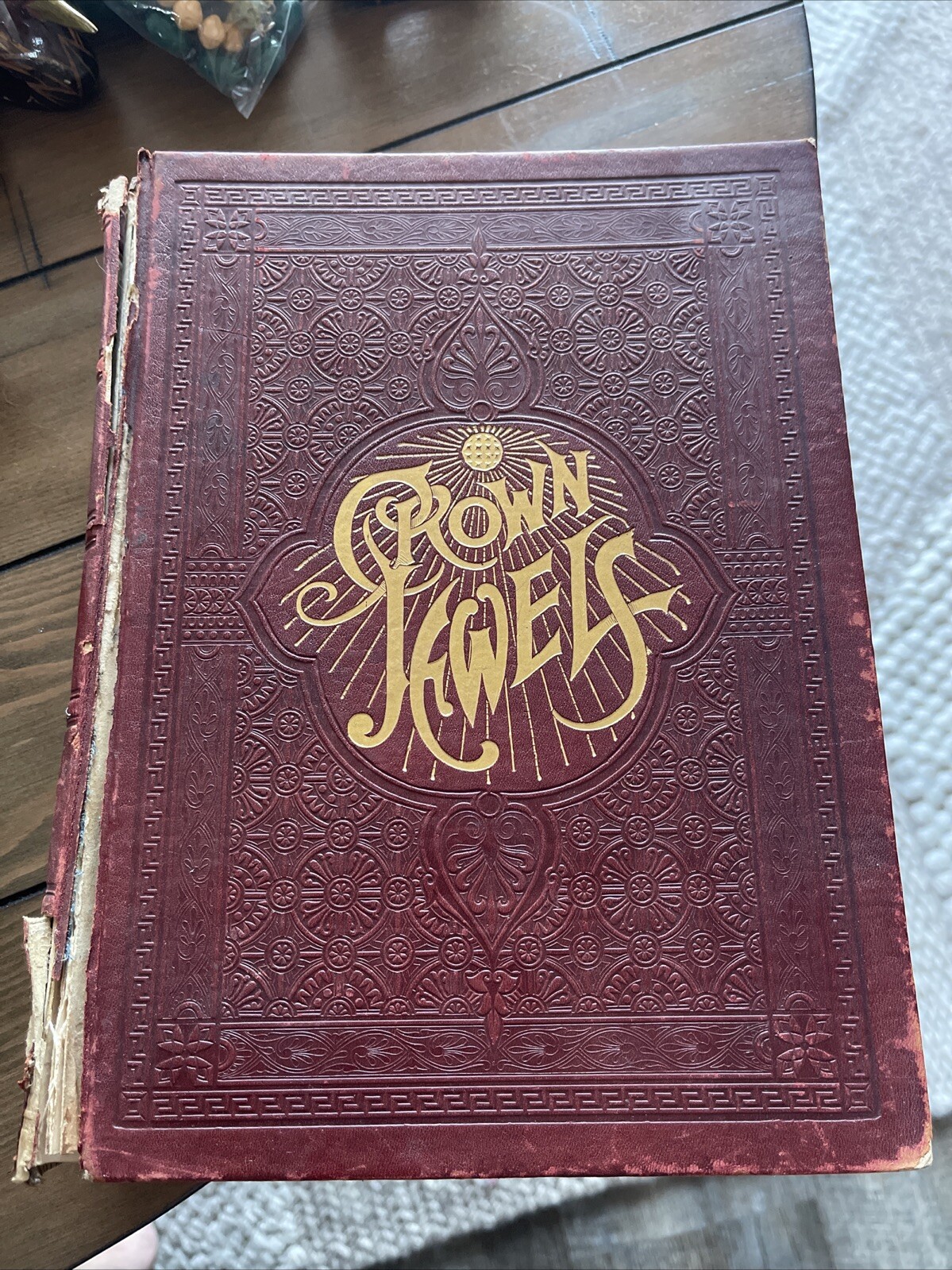 1888 Book Crown Jewels Gems of Literature Art & Music Leather Cover Plates