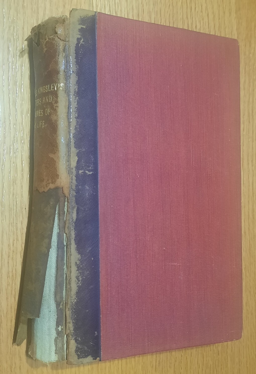 Charles Kingsley Letters & Memories Church of England Christian Socialist Bio