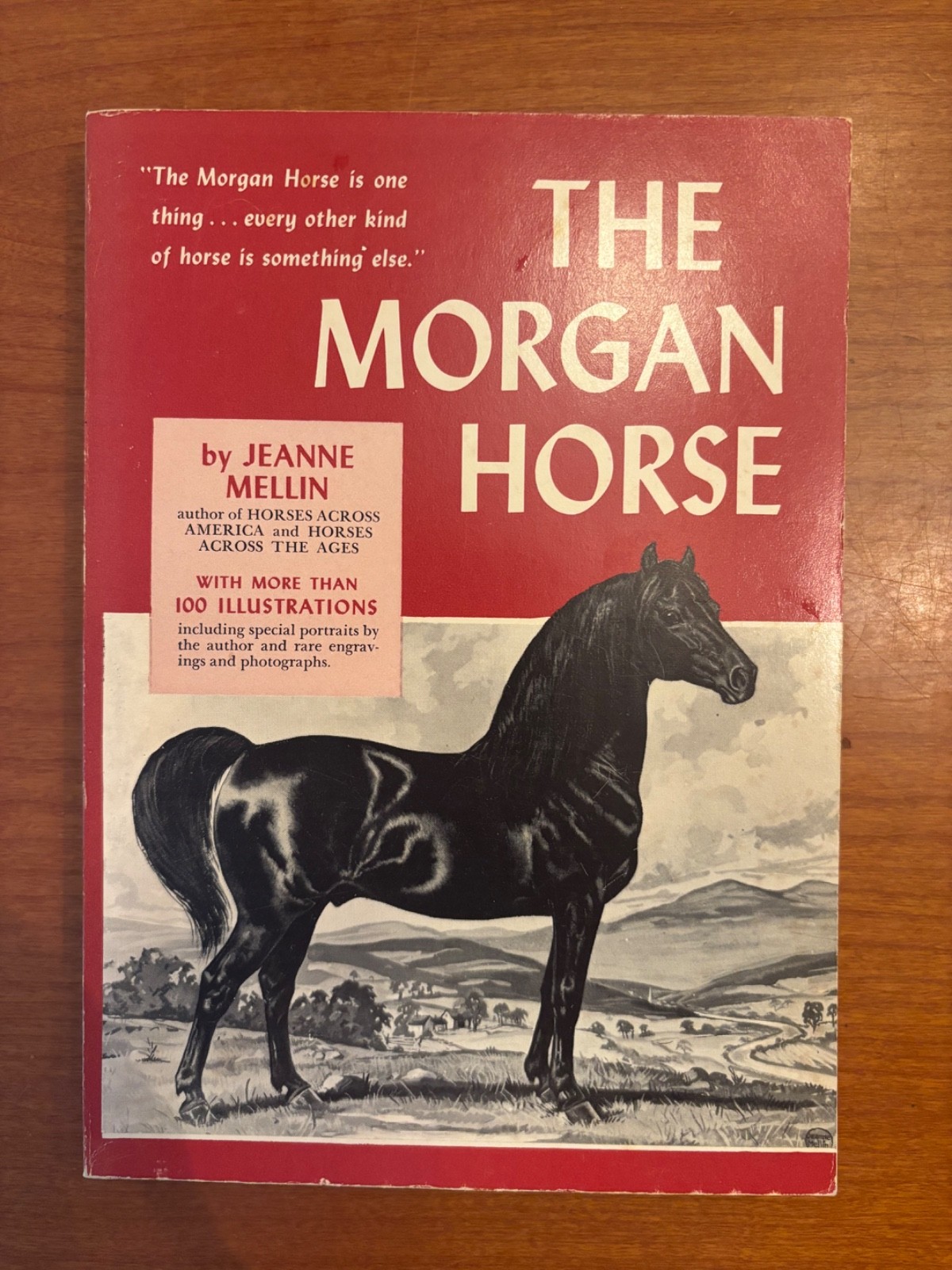 The Morgan Horse Jeanne Mellin Illustrated Vintage Horse Book