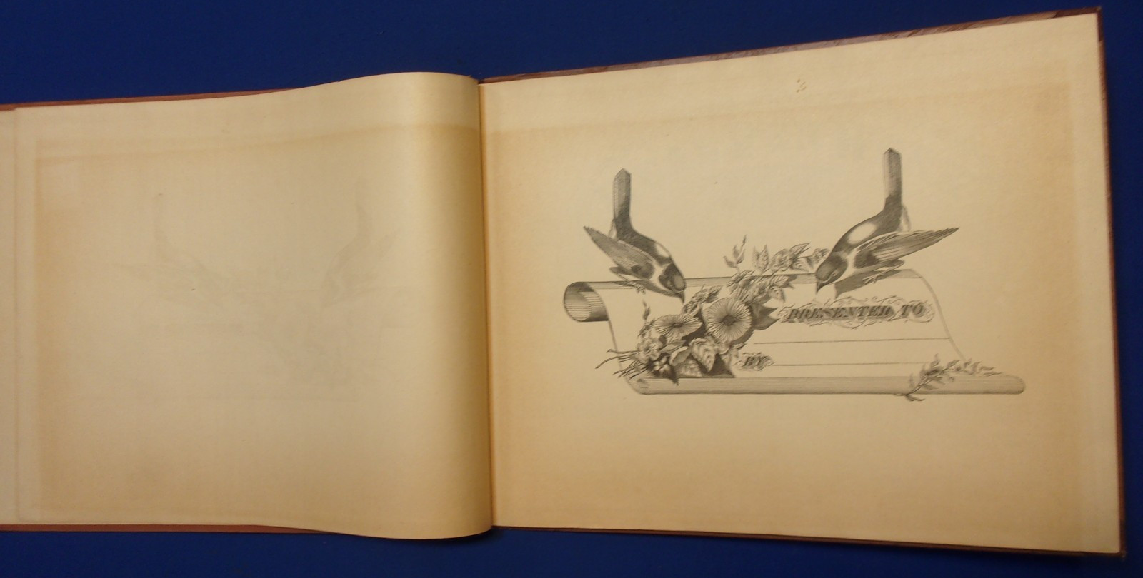 REAL PEN-WORK SELF-INSTRUCTOR IN PENMANSHIP. 1881, Knowles, Pittsfield, Mass.