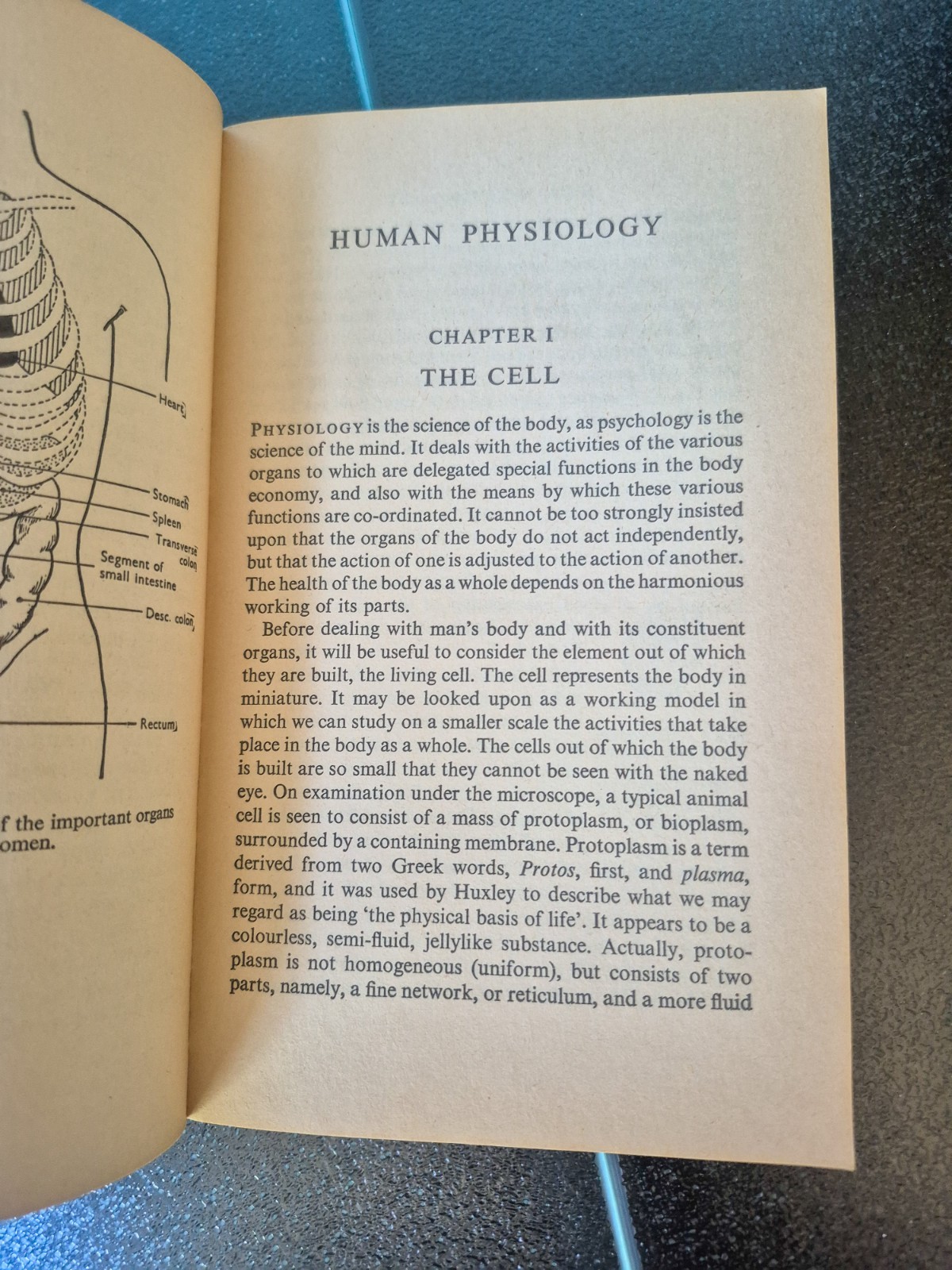 Human Physiology Kenneth Walker 1968 Pelican Vintage Paperback Book A102