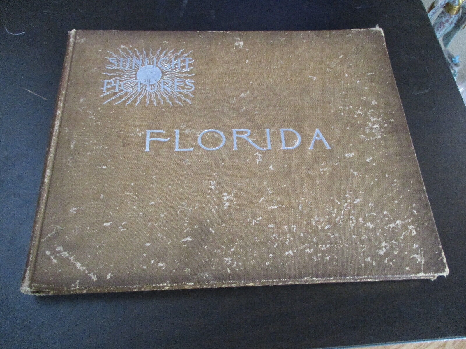 sunlight pictures florida halftones 1895 hardcover vintage st augustine North FL