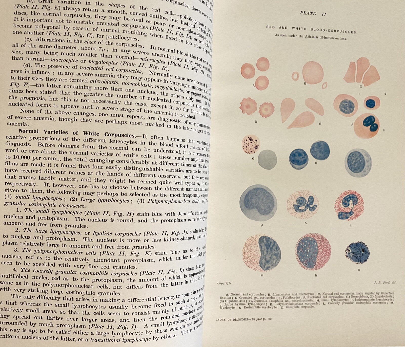 RARE VG+ Index Differential Diagnosis Ed French 1923 Antique Medical Book Illus