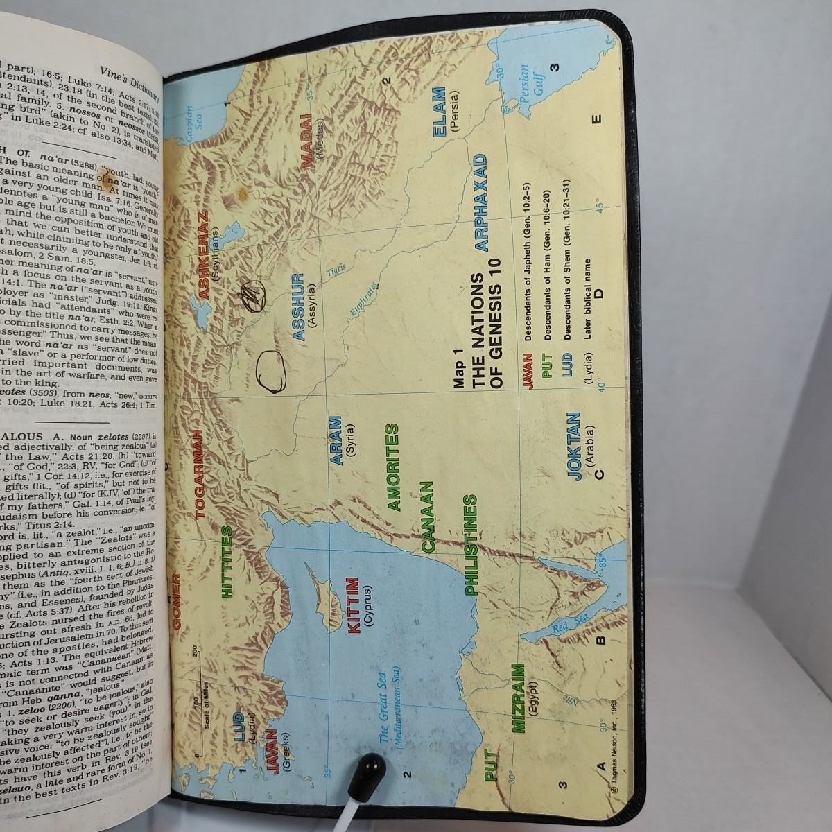 Vine’s Expository Reference Edition Holy Bible NKJV 1997 Black Bonded Leather