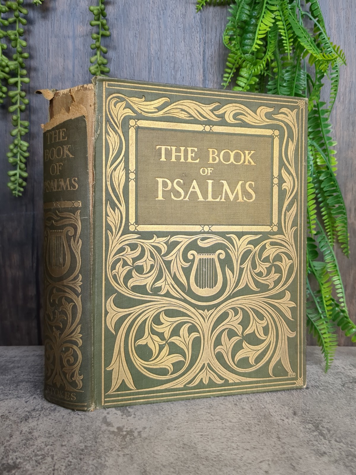 The Book of Psalms Frank C Pape 1913 – Frederick A Stokes Company – Illustrated