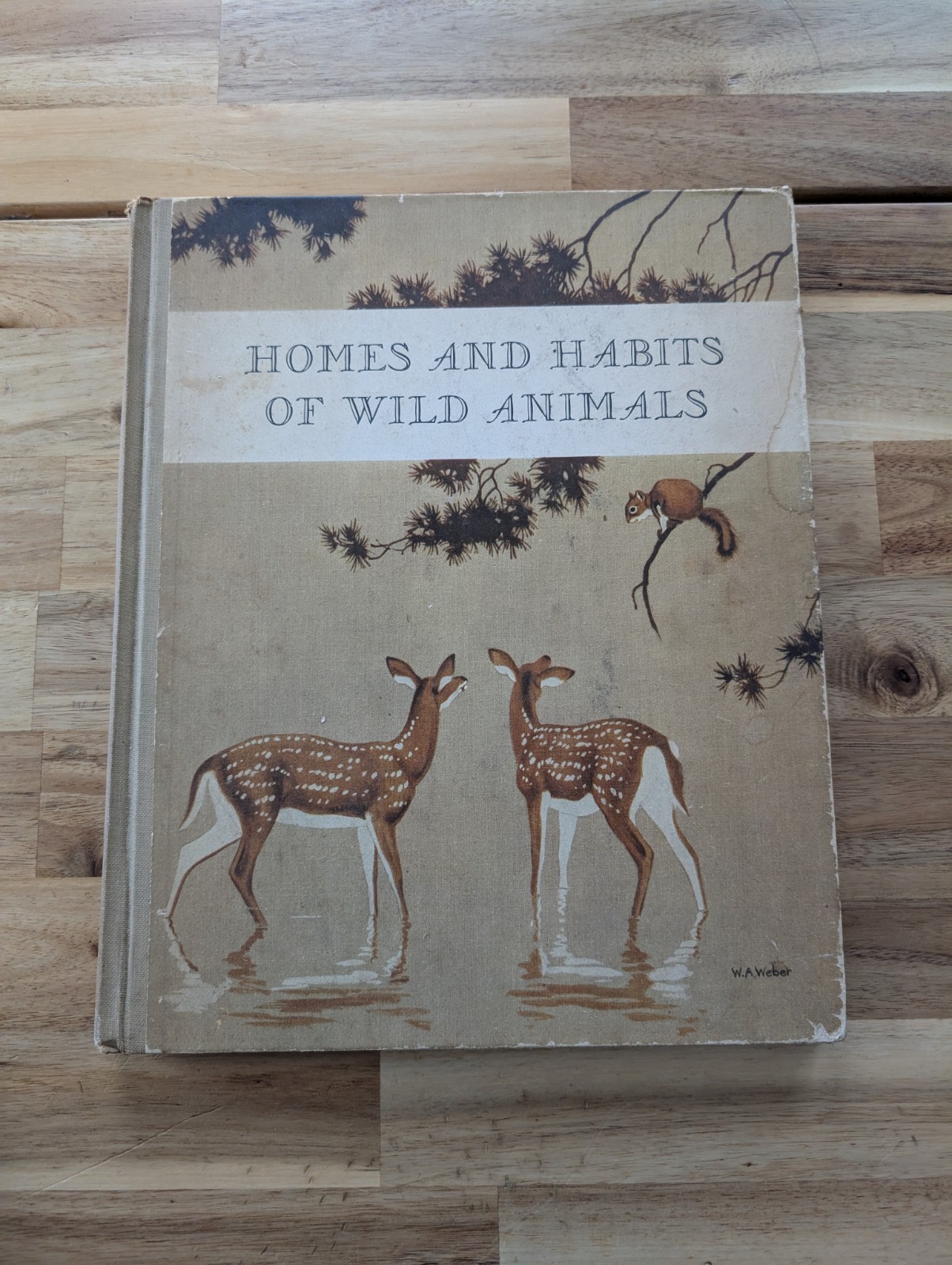 1934 Homes And Habits Of Wild Animals Walter Weber Book Illustrated FULL COLOR