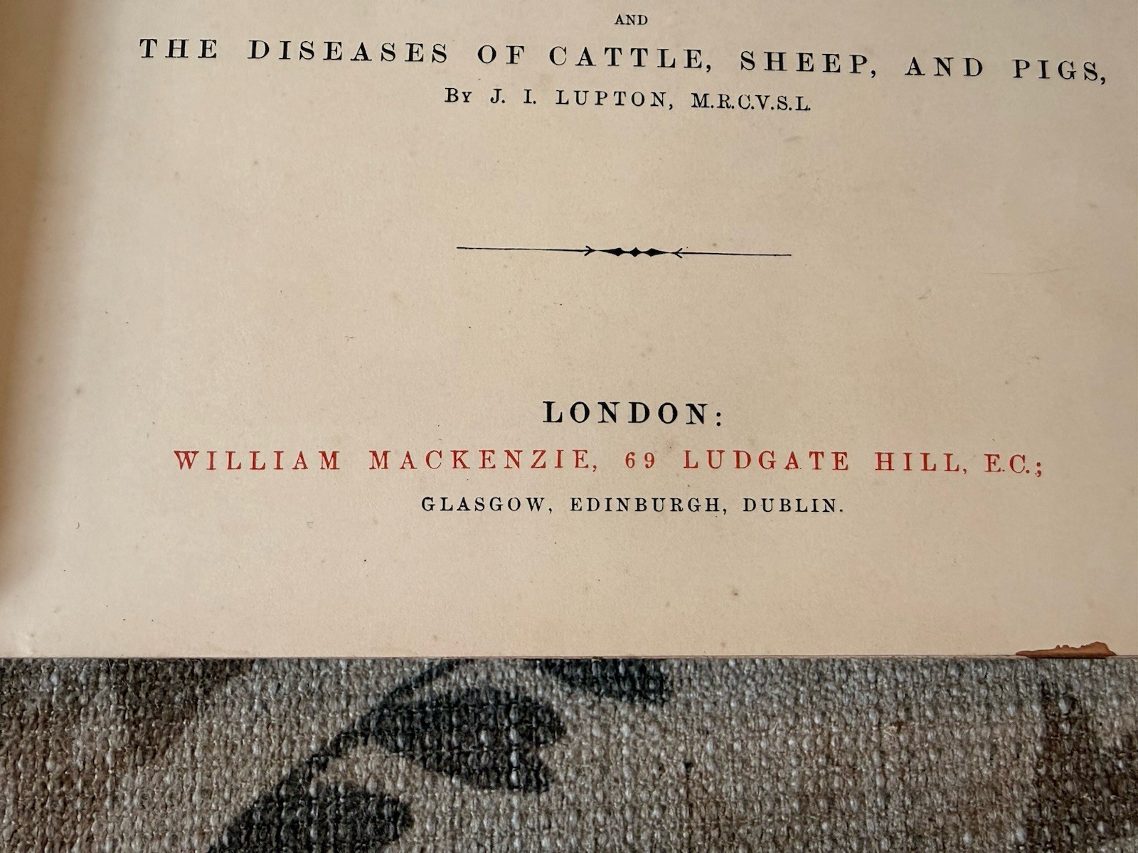 Antique Equestrian Reference Book Modern Practical Farriery Victorian Leather