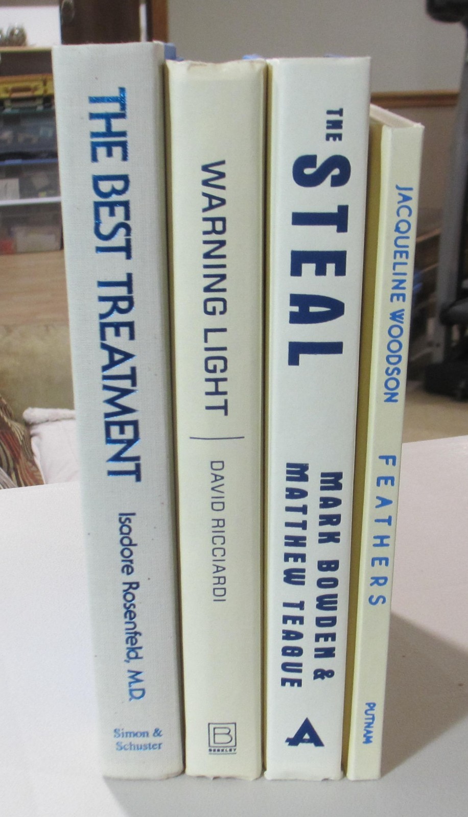 DECOR Book lot 4 Library Staging Display Home Design Light Beige Blue Text EX CN