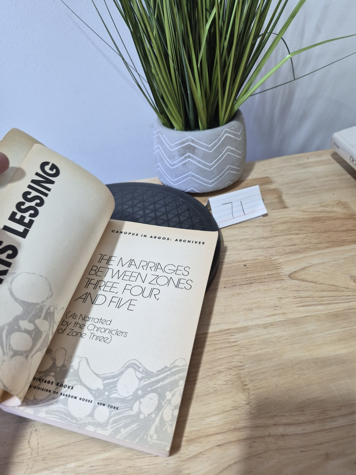 1981 The Marriages between Zones Three, Four, and Five by Doris Lessing