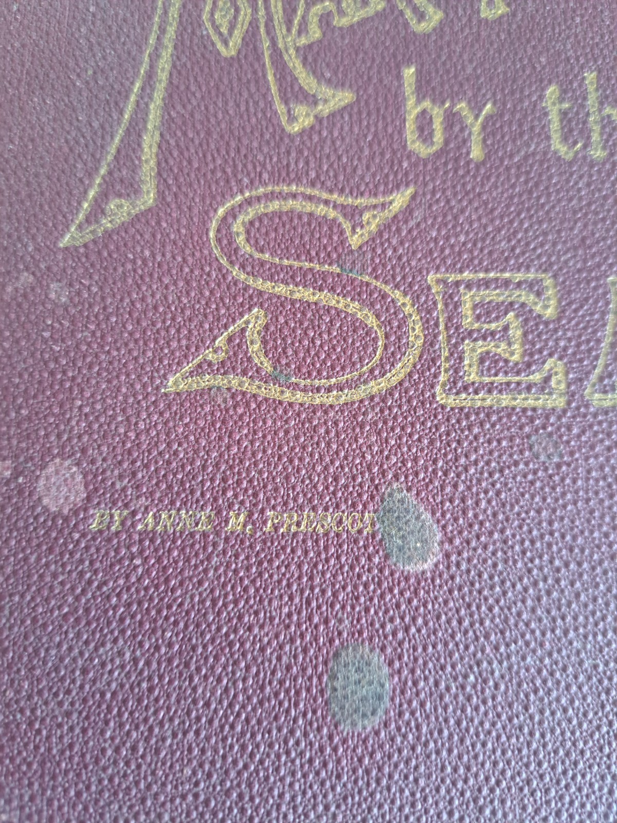 MAKAPALA by The SEA by ANNE M. PRESCOTT 1st Edition 1899 Honolulu, Hawaii Signed