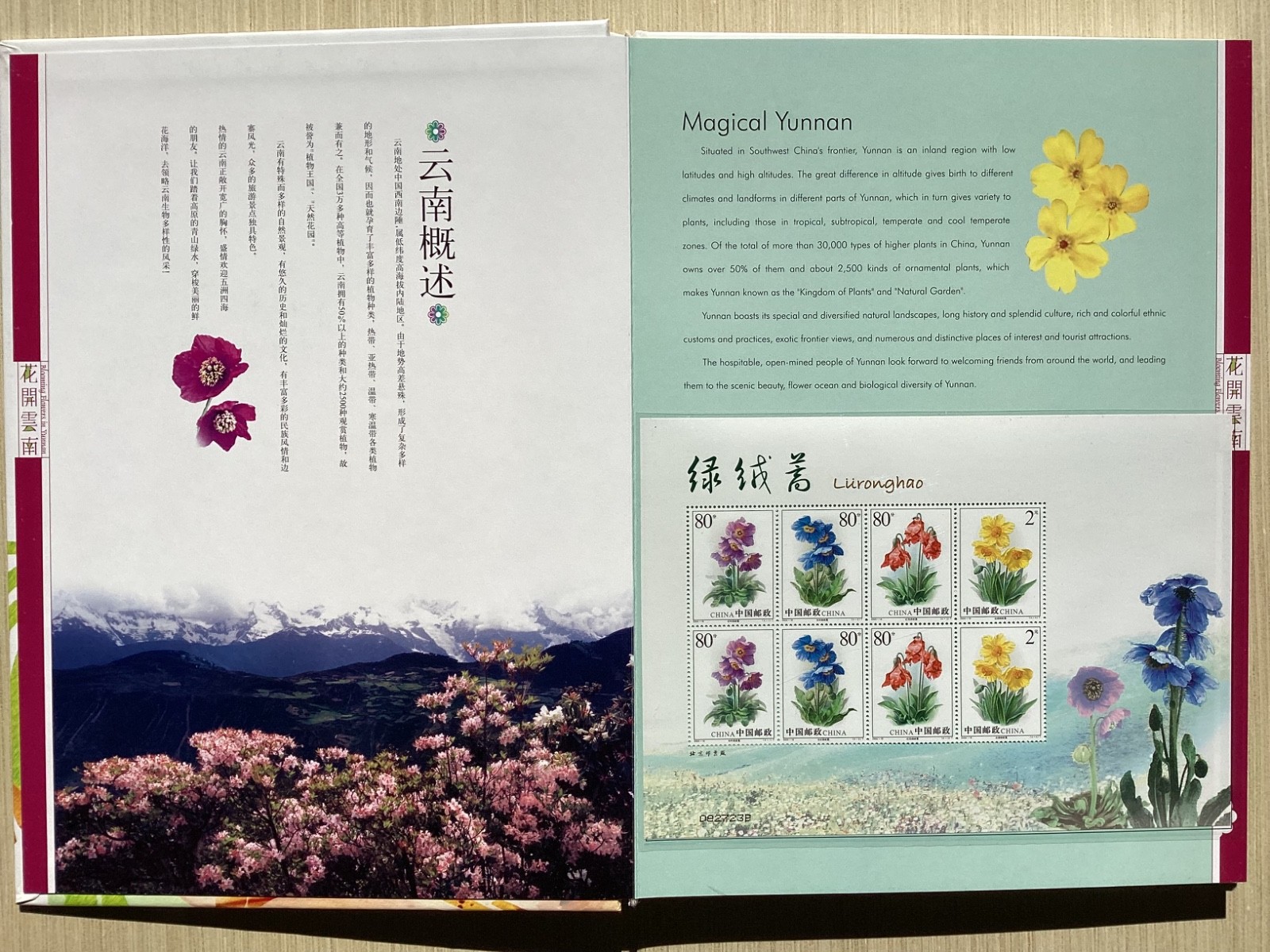 Blooming Flowers in Yunnan with MNH stamps China camellias etc in clamshell box