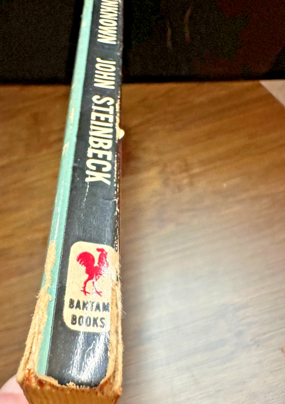 To a God Unknown John Steinbeck Bantam Books A1324