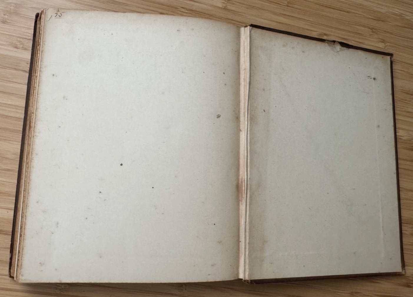 A Manual of Wood Carving Leland Holtzapffel 1891 1st Ed Sweep Cut Tools Patterns