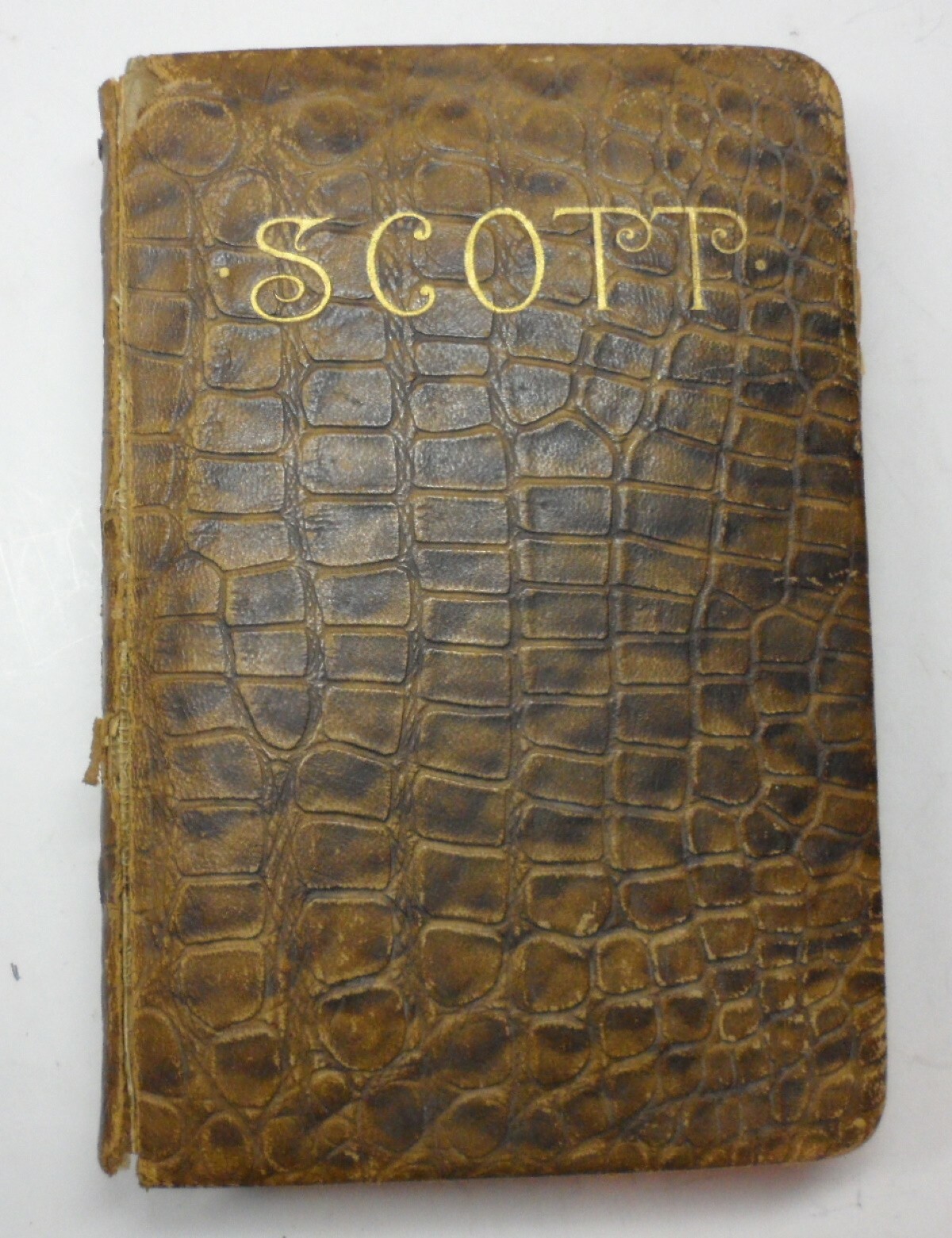 Poems Sir Walter Scott AL Burt Publisher Simulated alligator cover gilt edge pgs