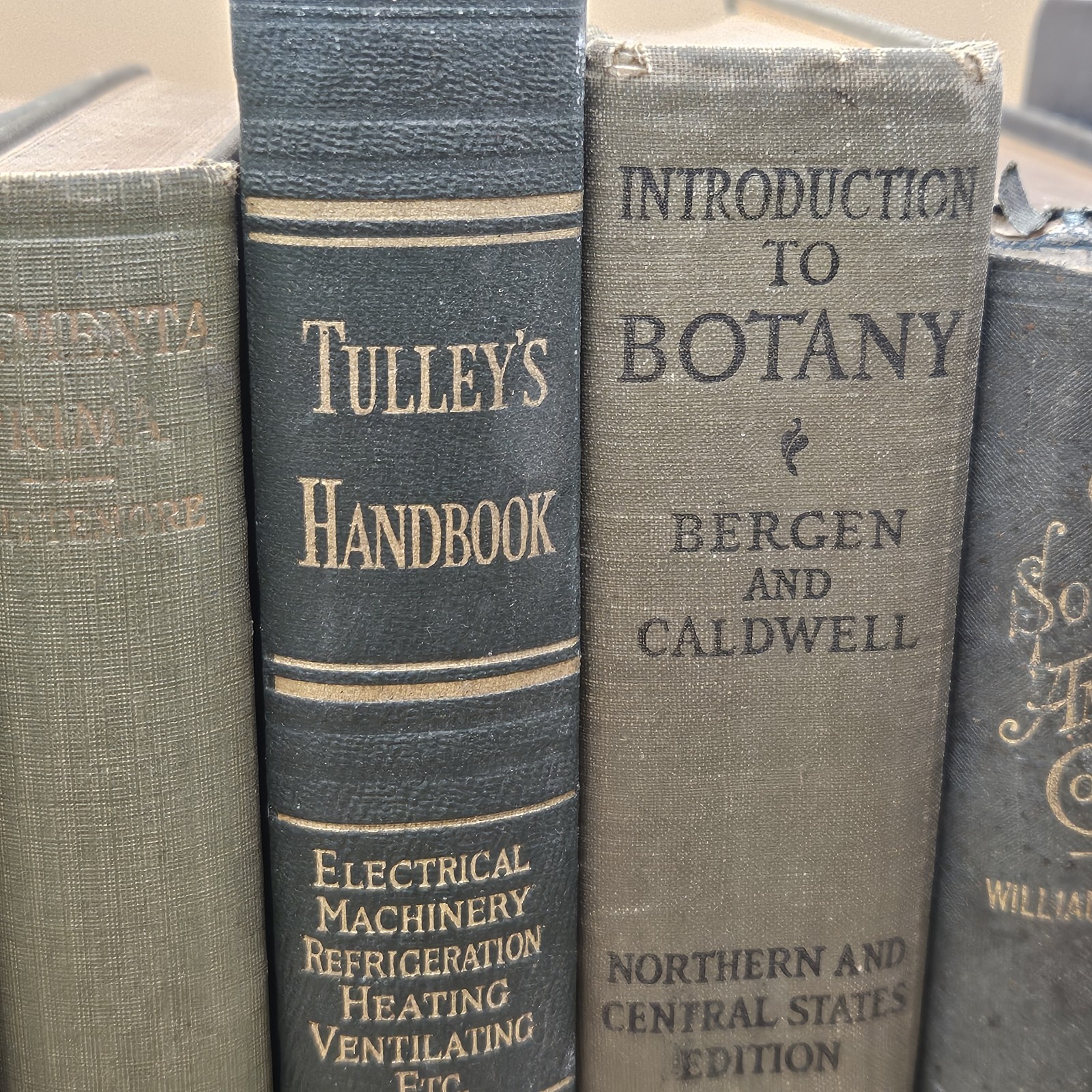 Nice Lot Of 10 Vintage Textbooks Green Cloth Hardcovers Botany Geography