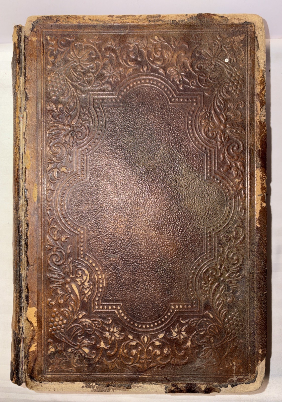 An Illustrated History of The Holy Bible 1873 John Kitto