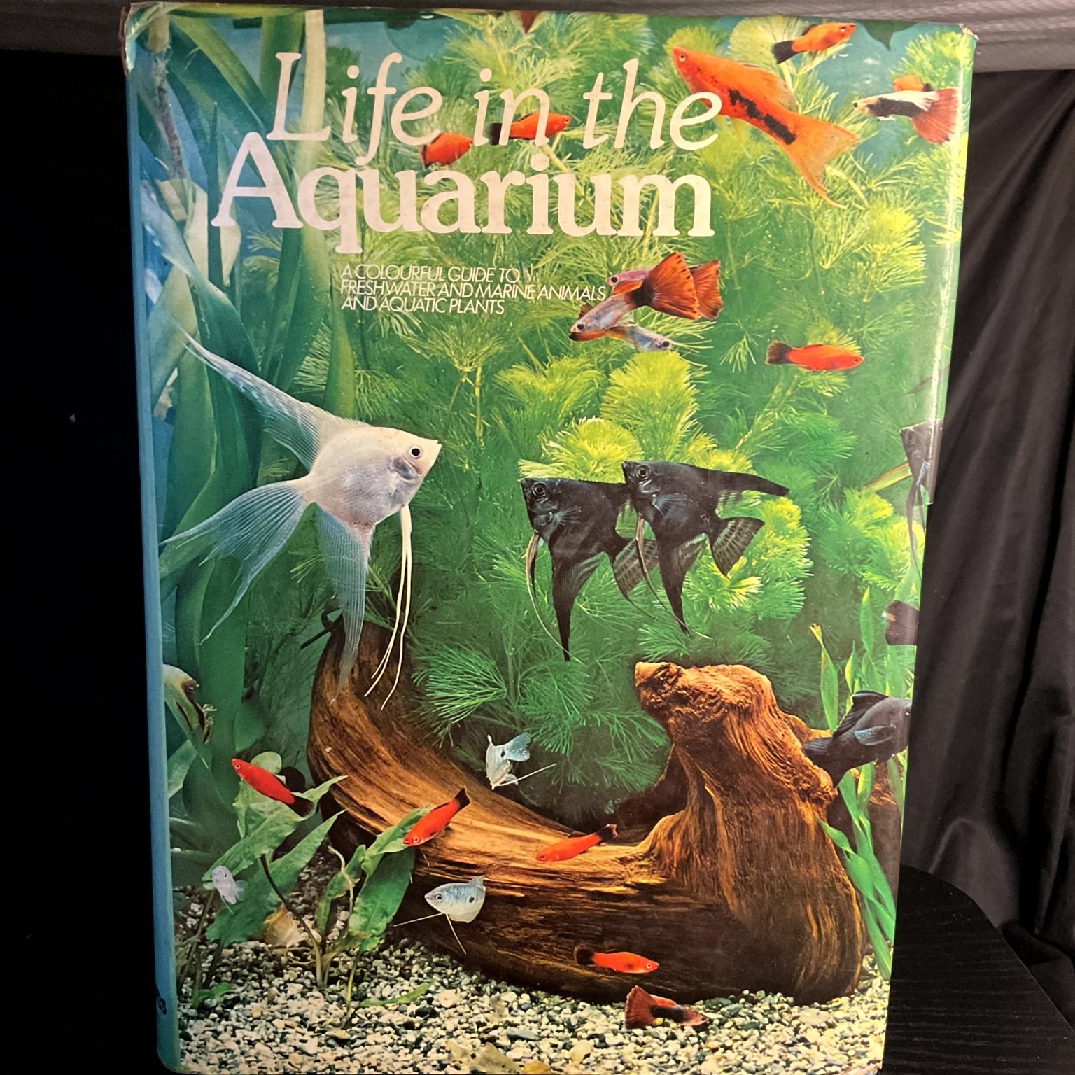 Life in the Aquarium Vanna Dal Vesco 1st English Ed 1975 Illustrated Octopus