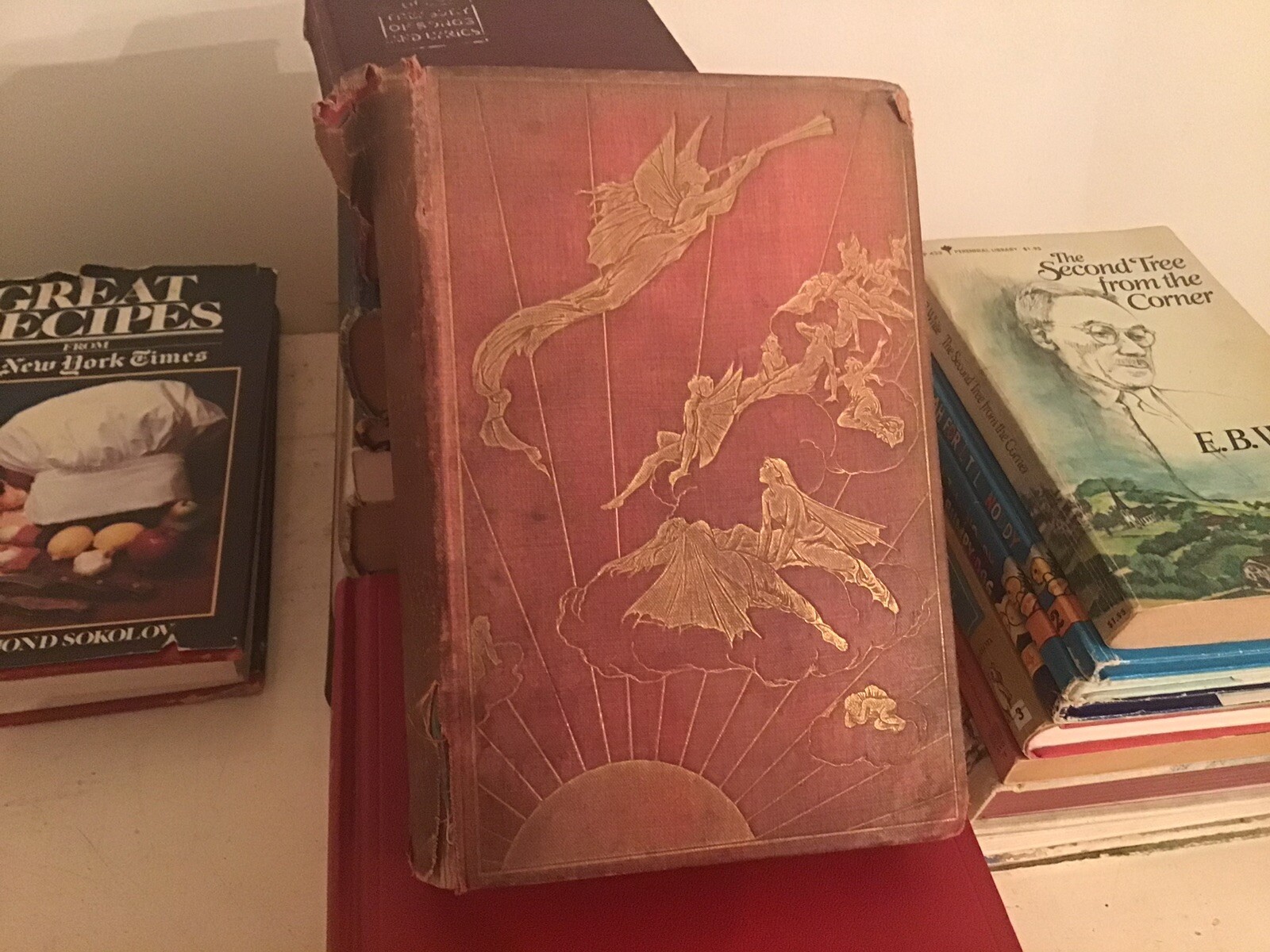 The Pink Fairy Book – Andrew Lang – First Edition, 1st Printing 1897