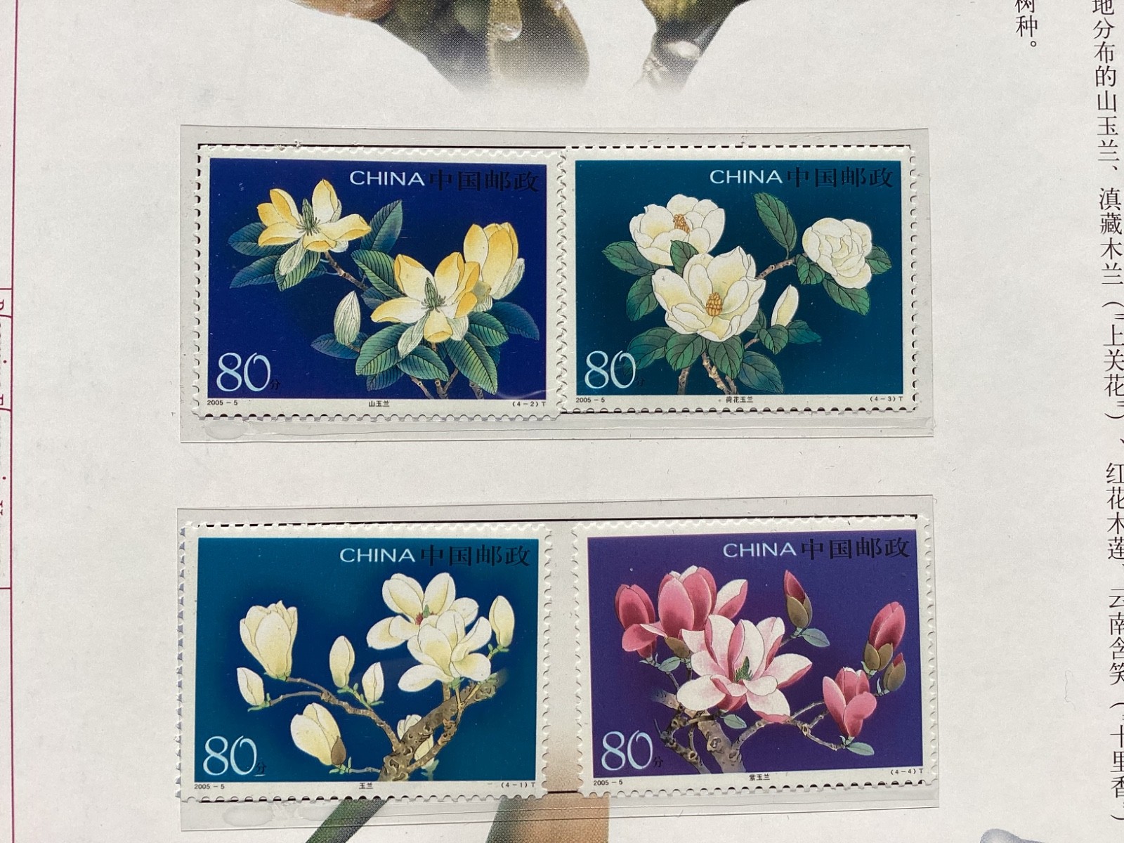 Blooming Flowers in Yunnan with MNH stamps China camellias etc in clamshell box