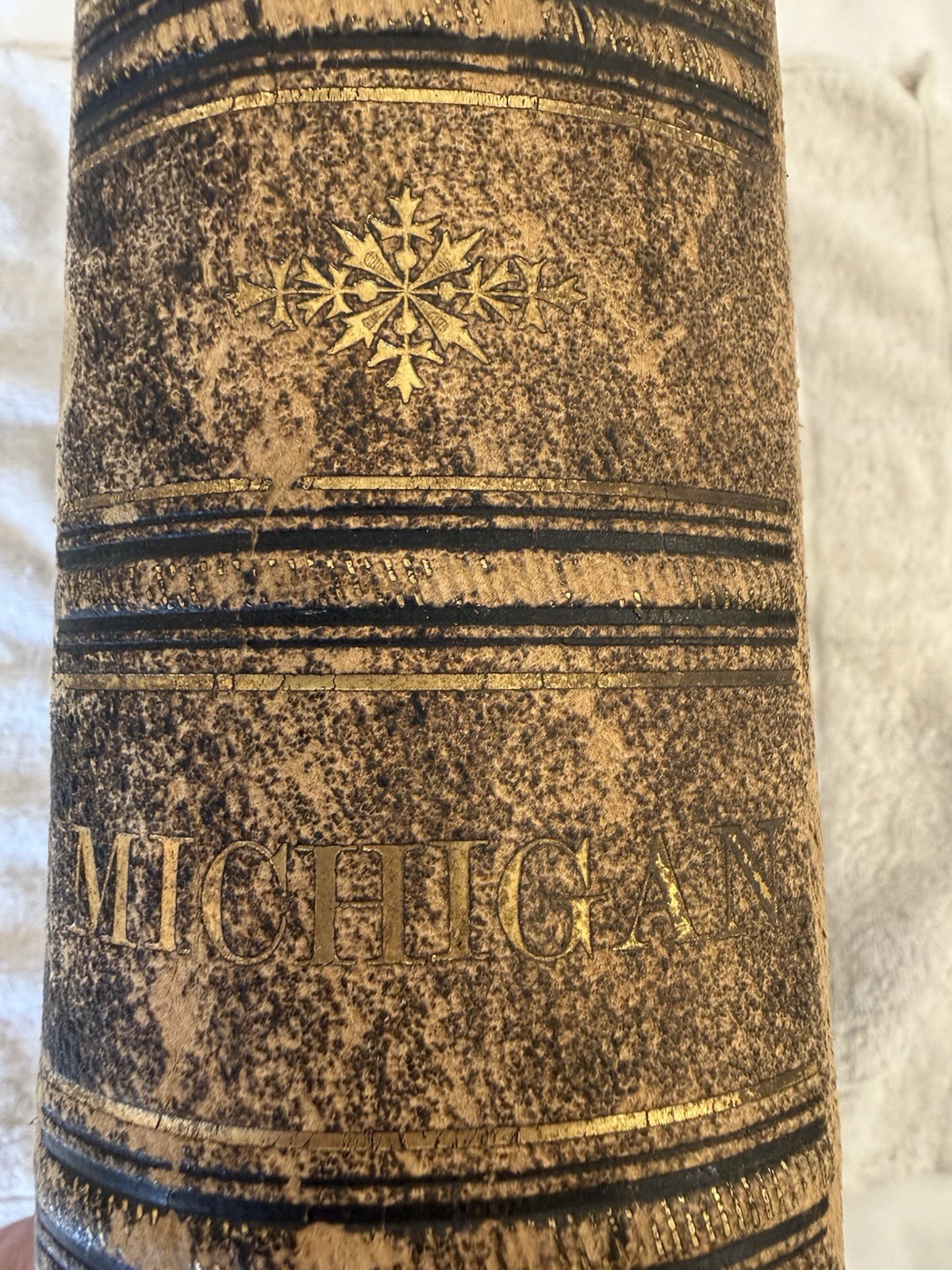 ANTIQUE MICHIGAN BOOK PORTRAIT BIOGRAPHICAL RECORD KALAMAZOO, ALLEGAN, VANBUREN
