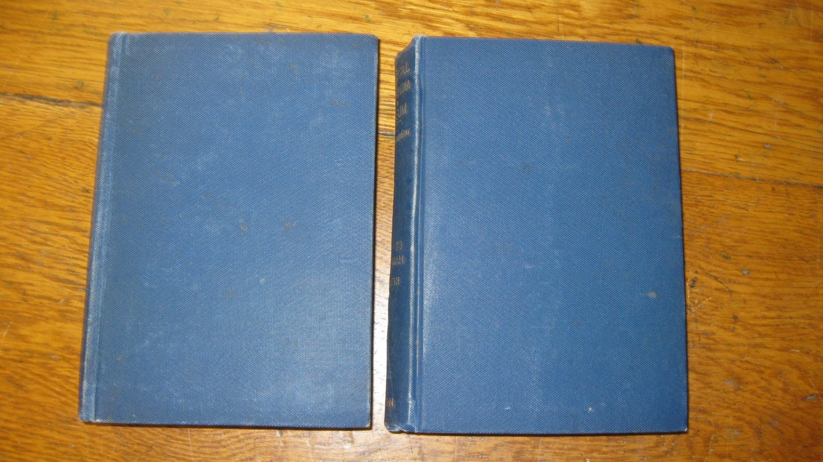 THE BIBLICAL ENCYCLOPEDIA & MUSEUM BY JAMES C GRAY 1900 4 vols in two HC