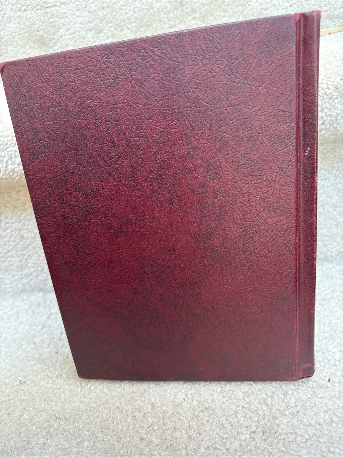 Layman’s Bible Encyclopedia Book 1964 The By William C Martin Biblically EUC