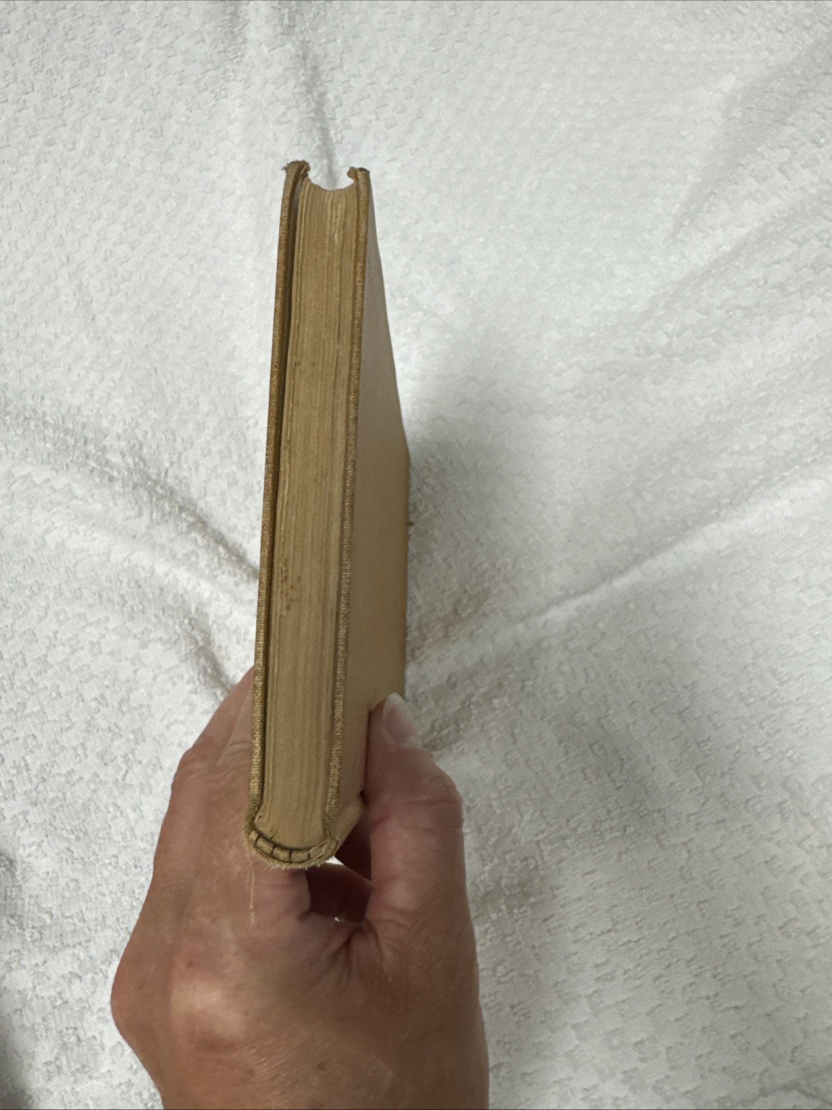 Antique Michigan State & Local Government HC Book WJ McKone 1915 edition Good