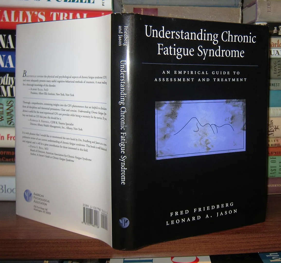 Friedberg, Fred & Leonard Jason UNDERSTANDING CHRONIC FATIGUE SYNDROME An Empiri