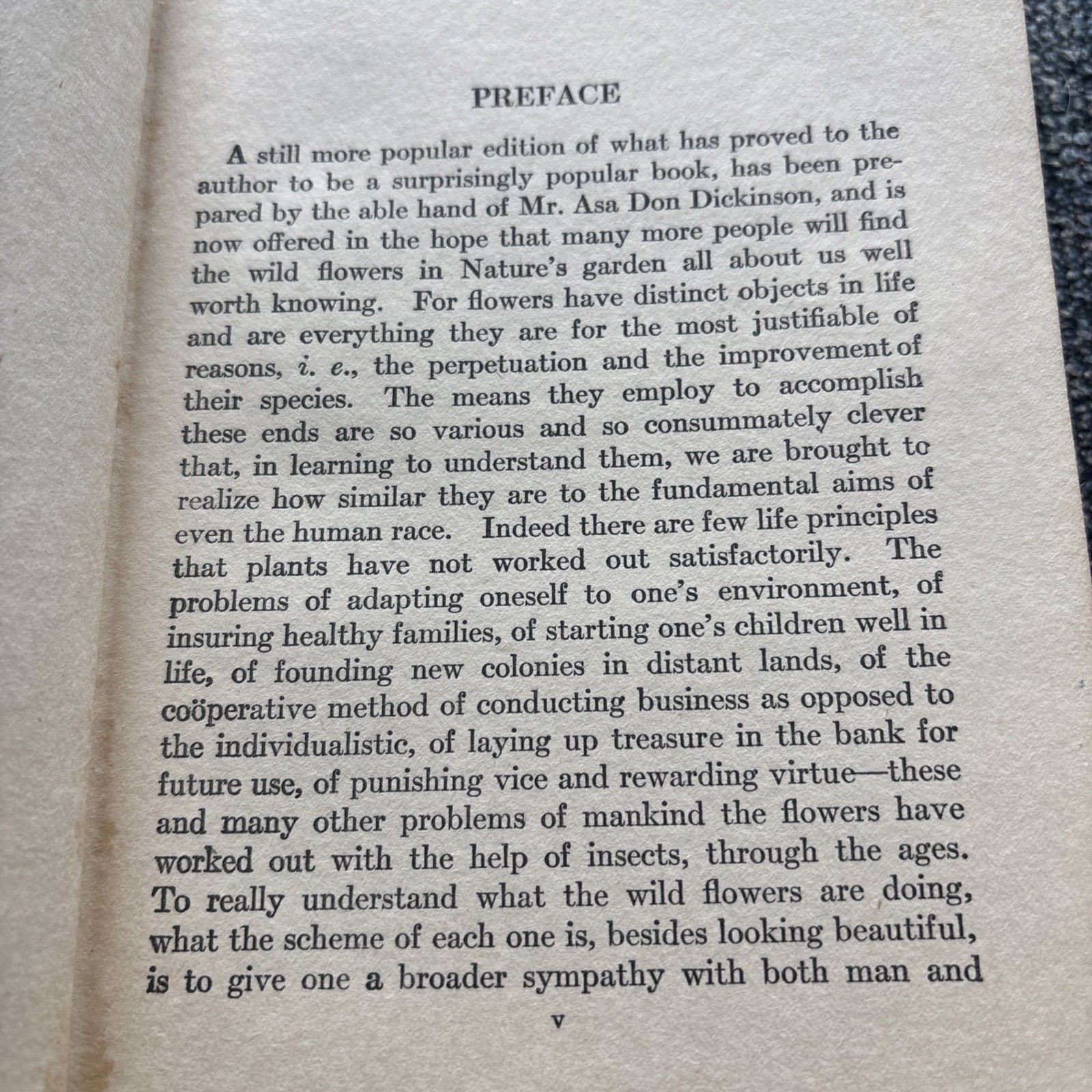 Little Nature Wild Flowers Worth Knowing 1ST Edition Neltje Blanchan 1922