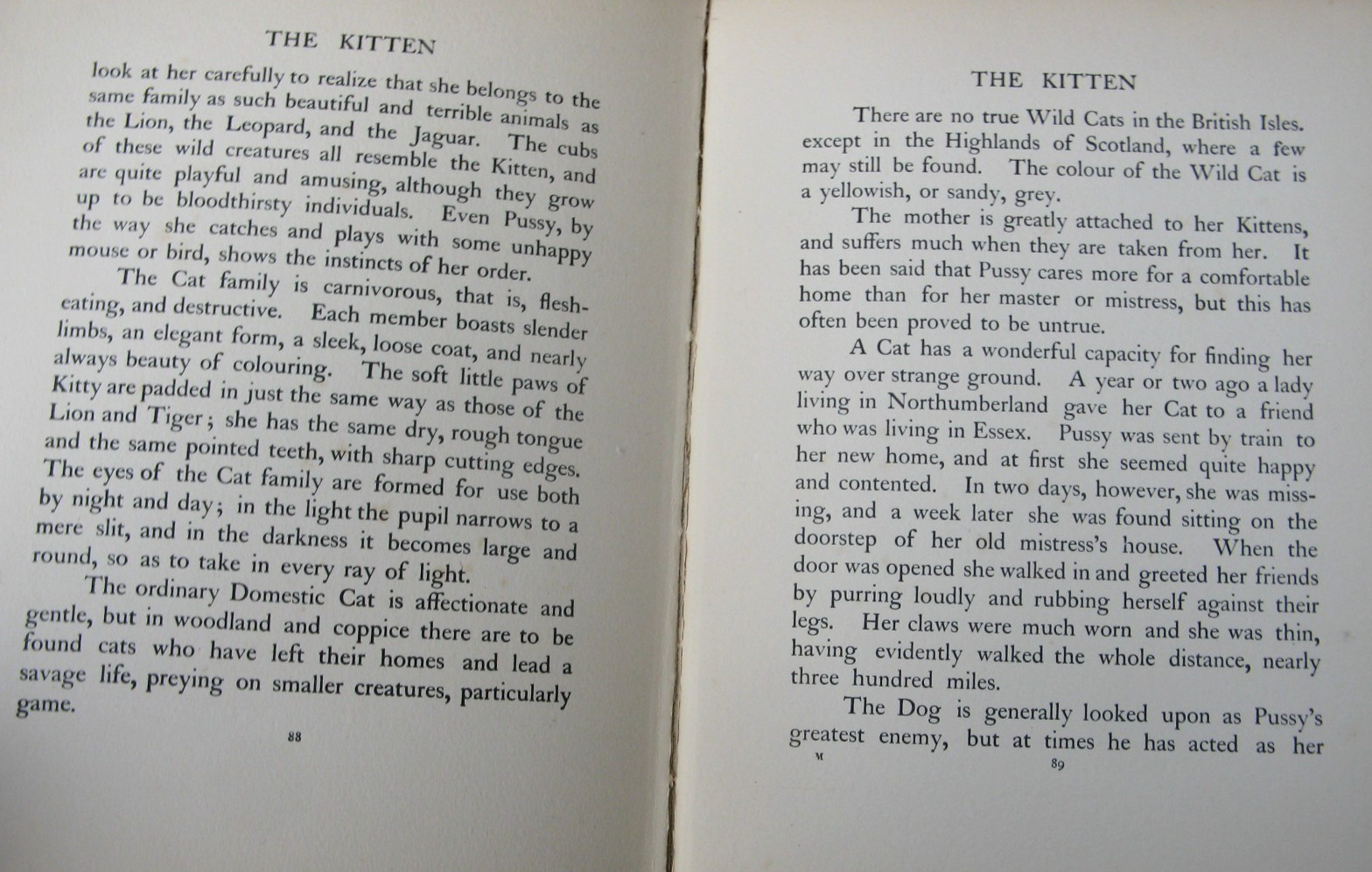 1911 The Book of Baby Beasts- Detmold SIGNED 1st Edition