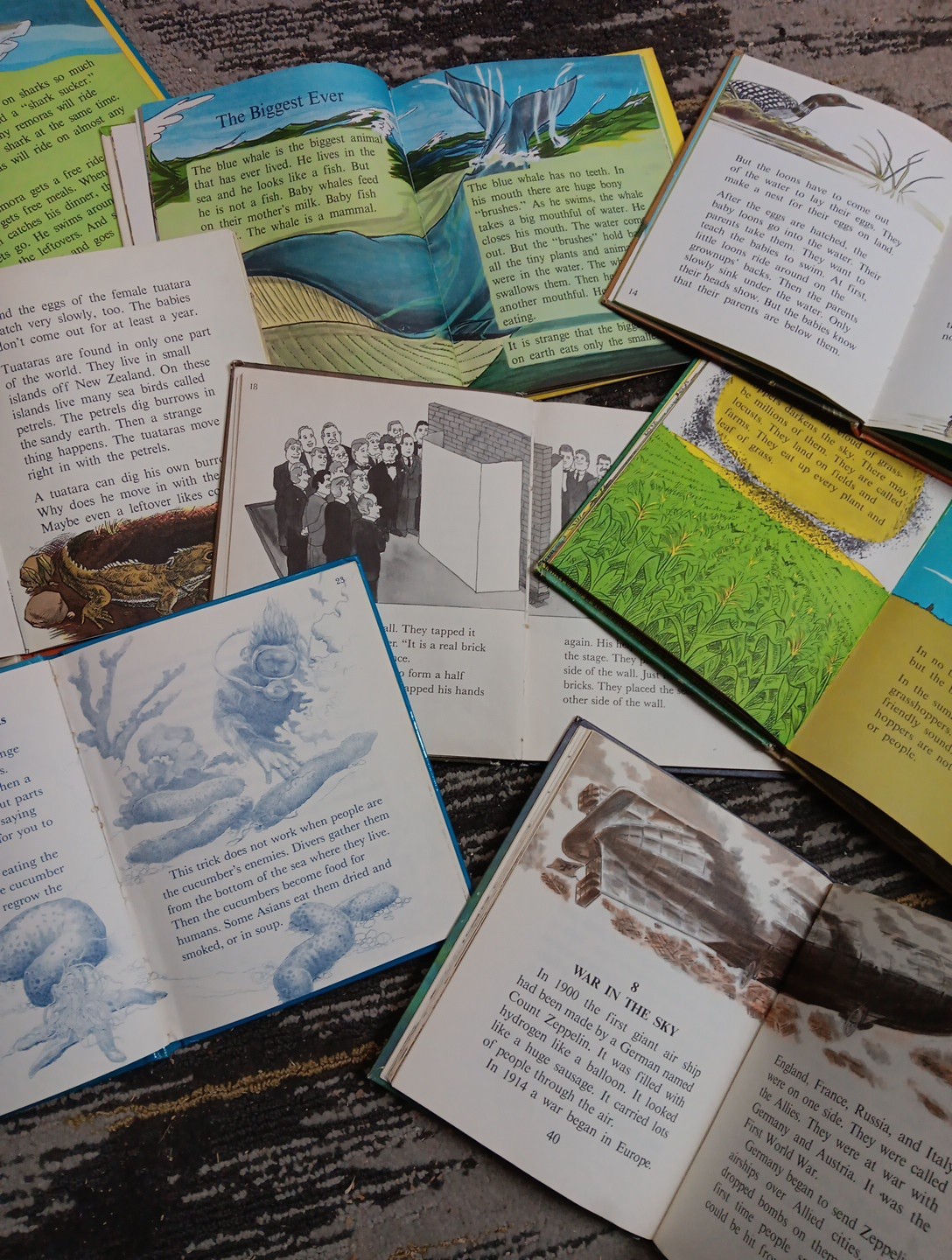 Animals Do The Strangest Things Published 1964-1970 RandomHouse 7 Books ClubEd
