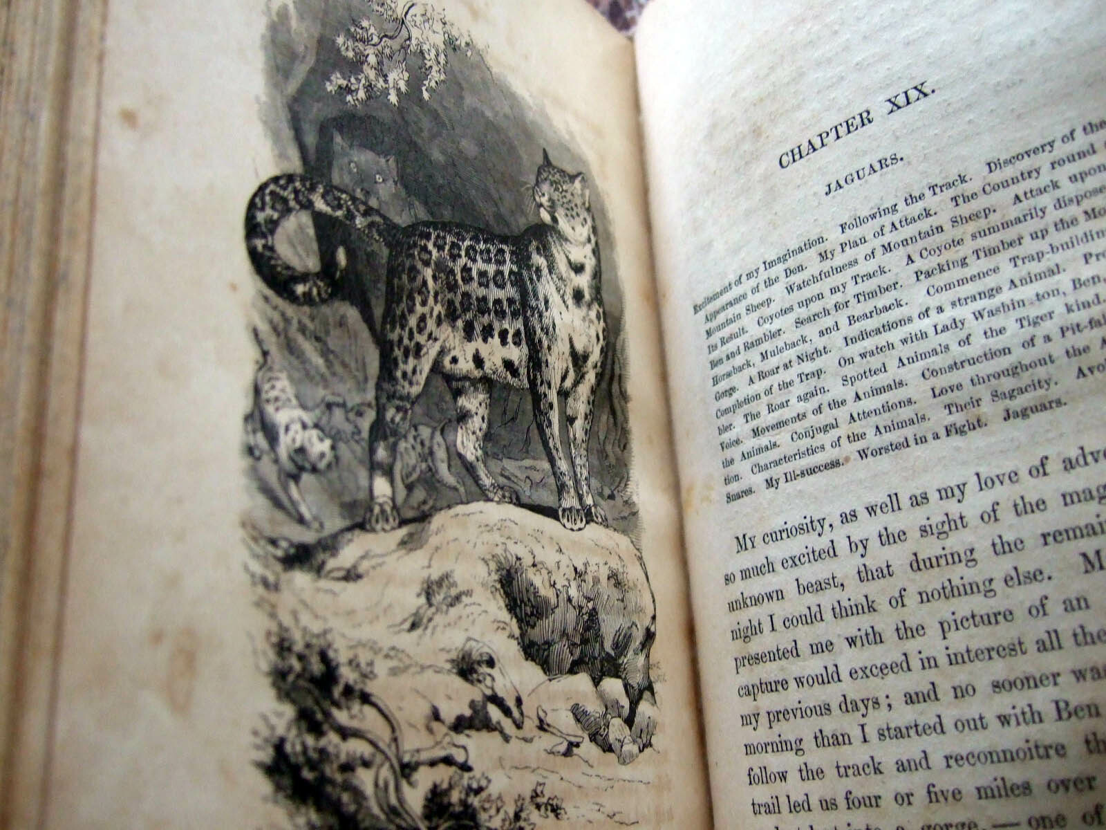 TRUE First Edition 1860 Adventures James Capen Grizzly Adams, Theodore H Hittell