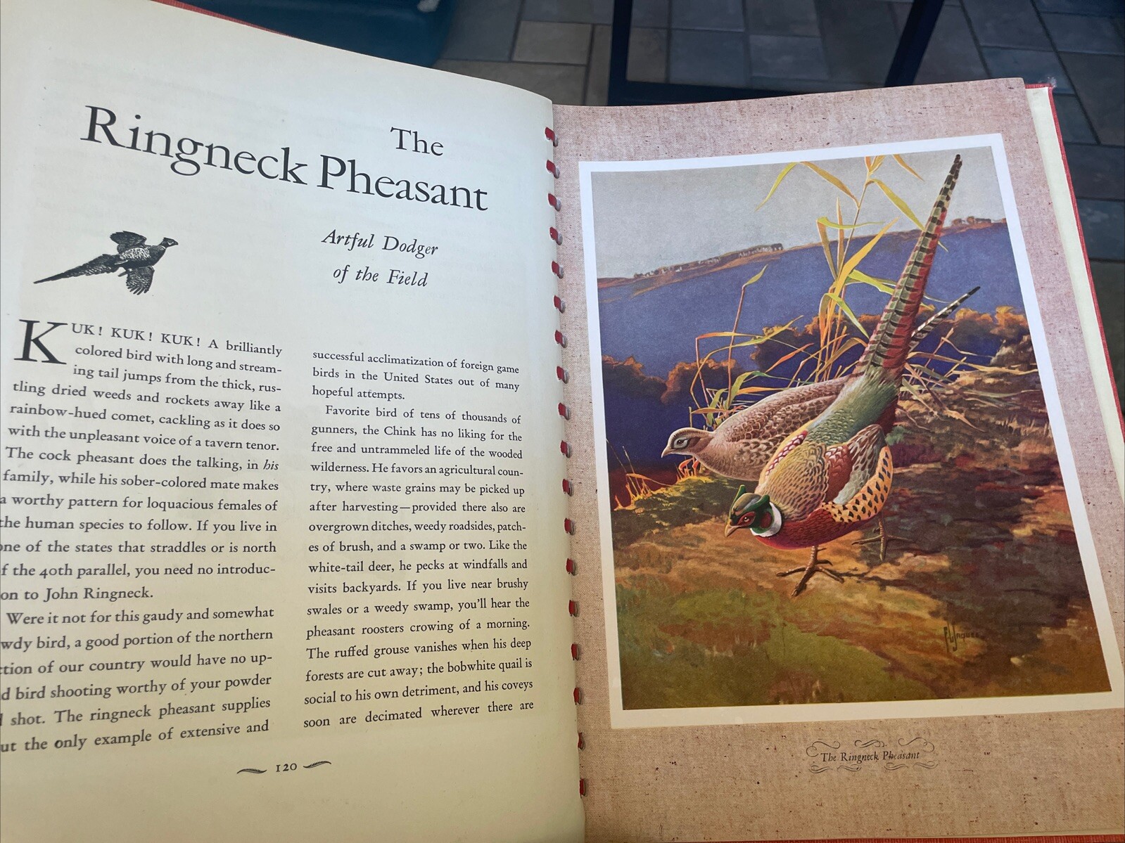 1946 OUTDOOR LIFE’S GALLERY OF NORTH AMERICAN GAME Paintings BY FRANCIS JAQUES