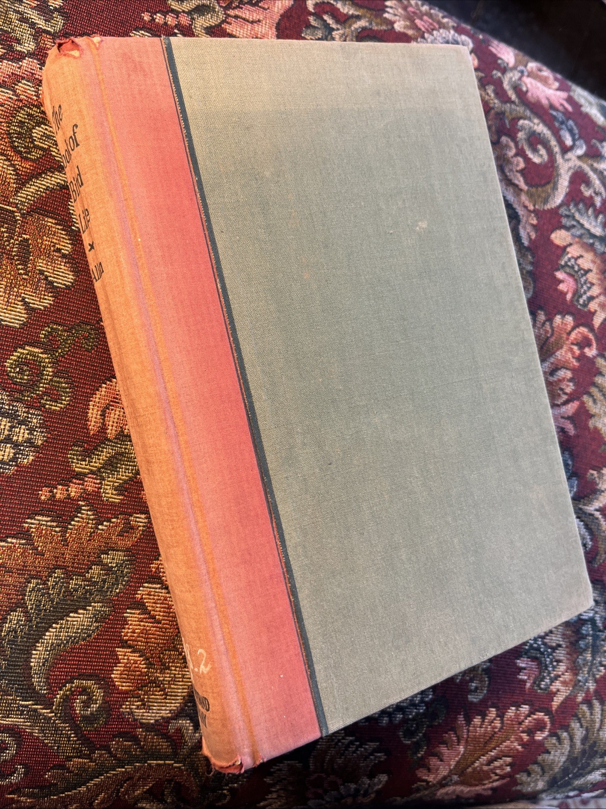 The Book If Bird Life By Arthur A Allen 1930 Van Nostrand HC