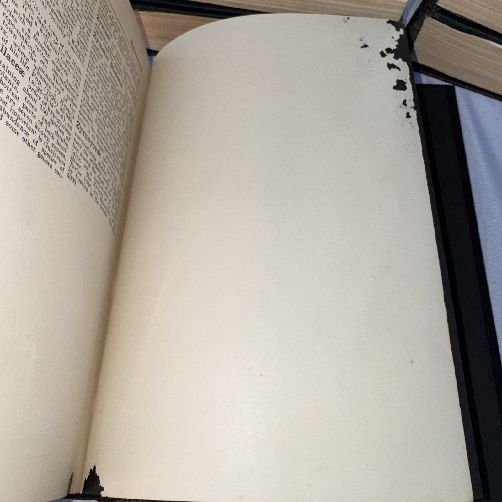 Winston’s Cumulative Loose-Leaf Encyclopedia 1923 10 Volumes Complete