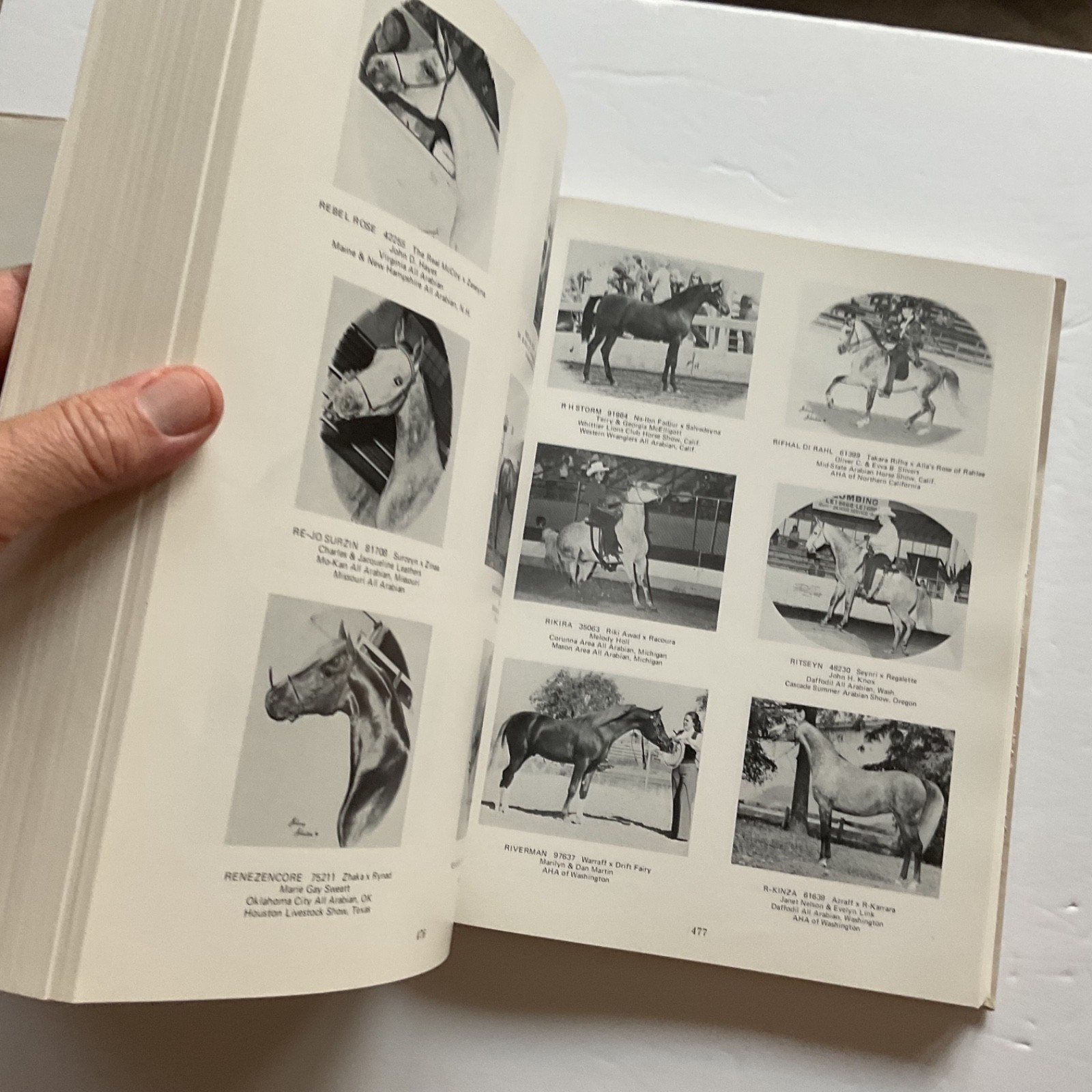 Arabian Horse Yearbook 1974 Edition ribbon winners