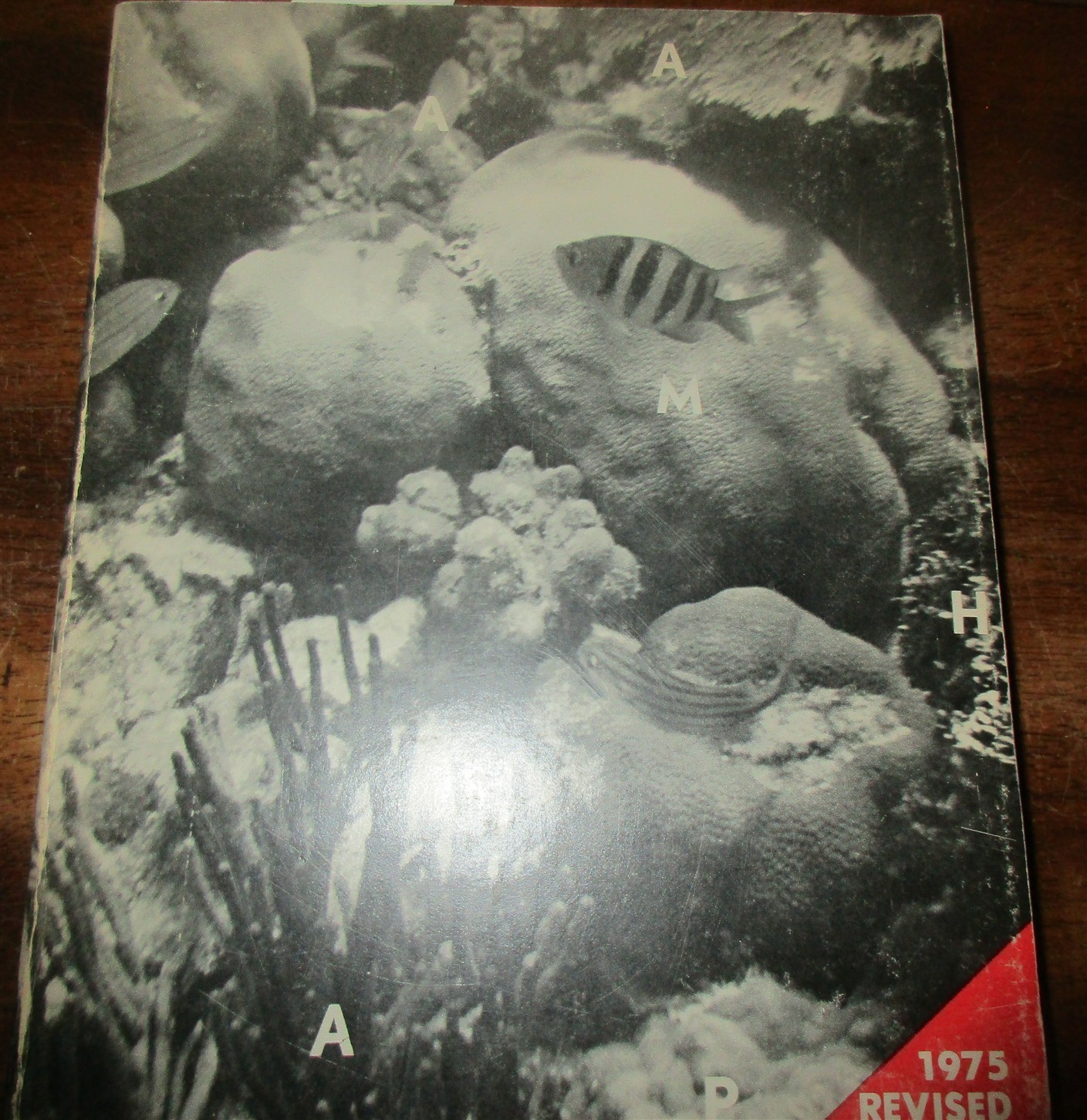 GEOLOGY SOUTH FLORIDA KEYS BAHAMAS MODERN LIMESTONE CARBONATE ENVIRONMENTS Scarc