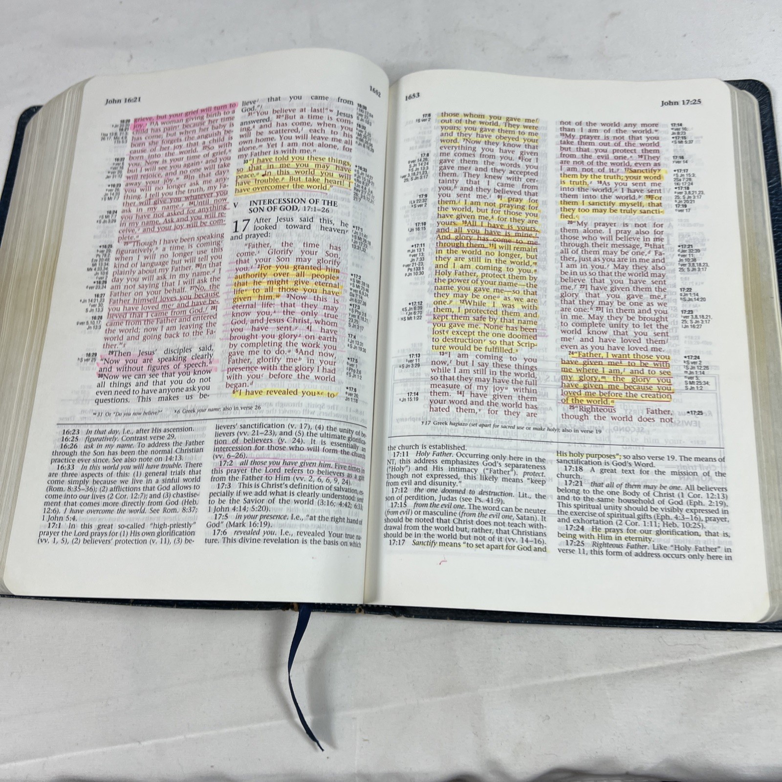 1994 NIV Ryrie Study Bible Expanded Edition Red Letter Moody Blue Cover