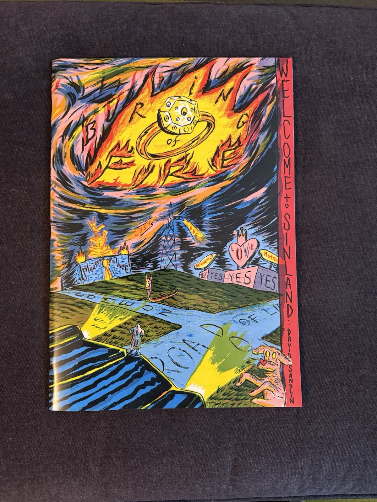 SIGNED Ring of Fire by DAVID SANDLIN 1992 LIKE NEW 448/500