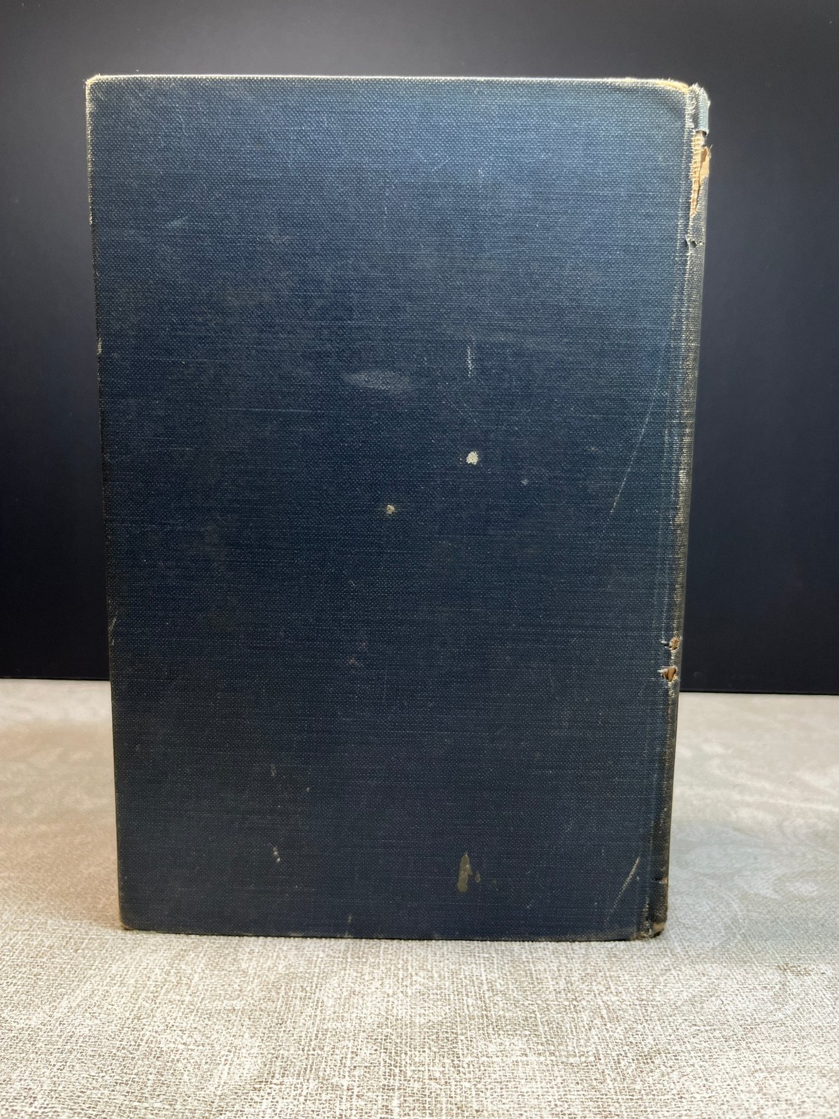 1923 The Water Babies by Charles Kingsley Hardcover Houghton Mifflin Company