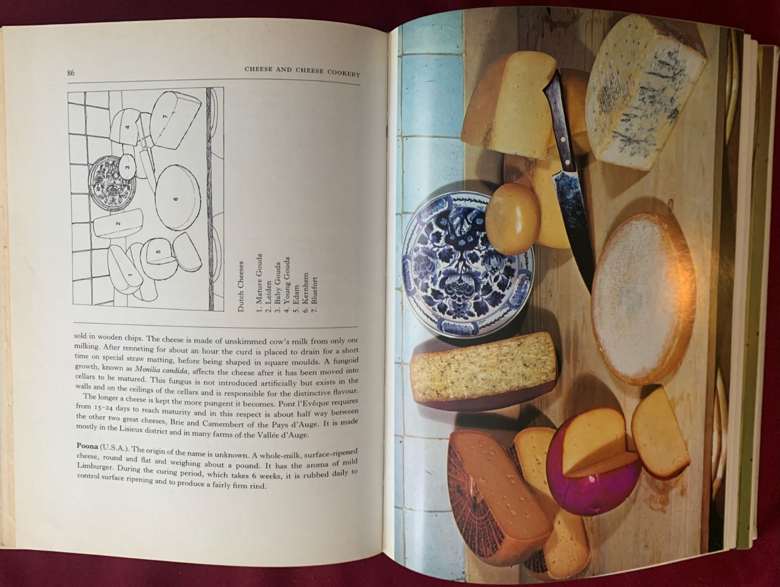 Cheese and Cheese Cookery – International Wine and Food Society Guide Cookbook