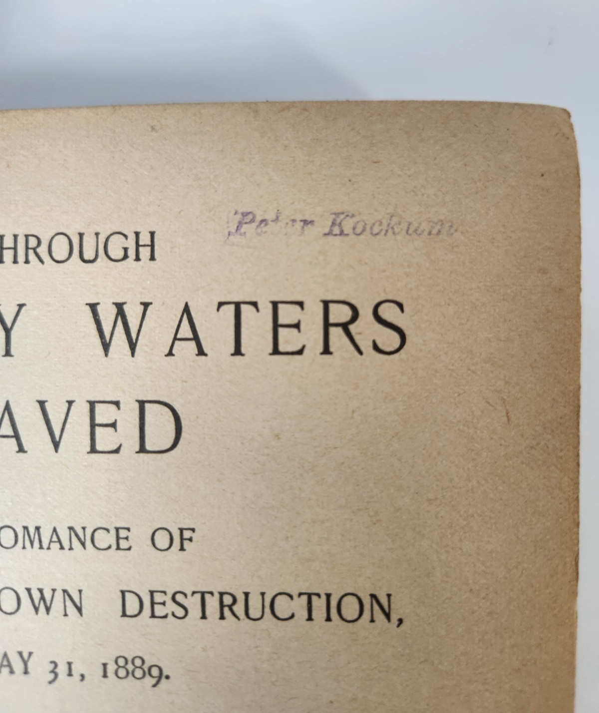 Through Mighty Waters Saved A Romance Of Johnstown Bailie Antique 1889 HC Book