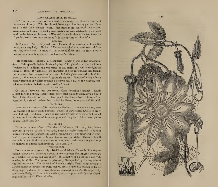 The Horticultural Register and General Magazine (1831-1836) – 5 Volumes on DVD