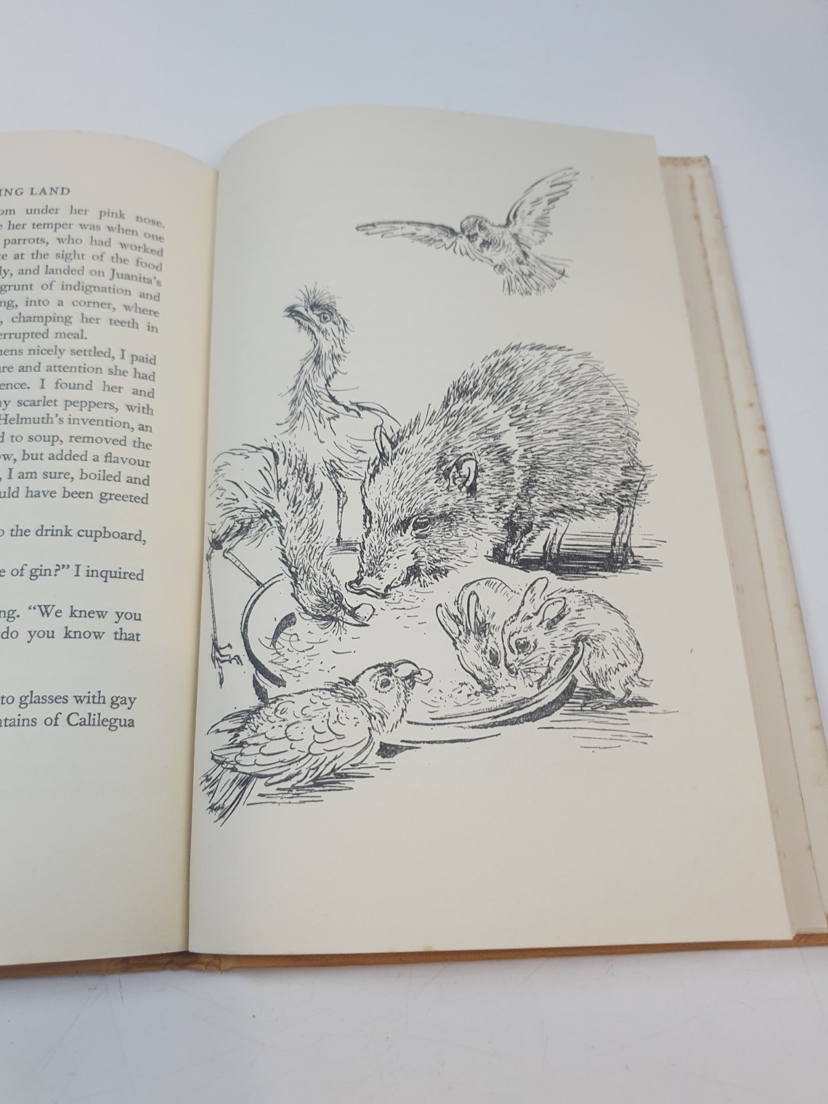 Gerald Durrell The Whispering Land Rupert Hart-Davies 1961 First Ed HB DW