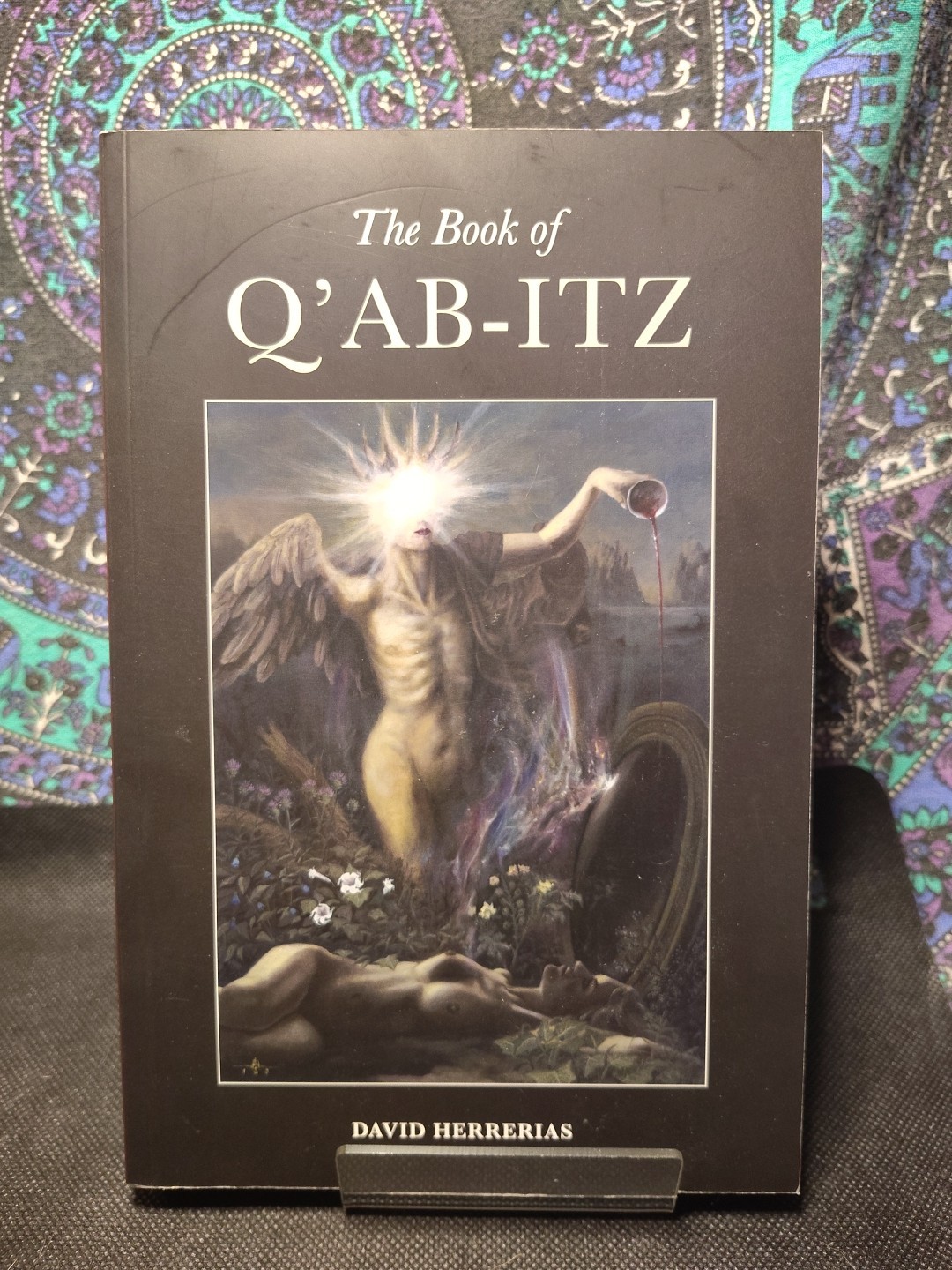The Book of Q’Ab-iTz (PAPERBACK) David Herrerias. Atramentous Press